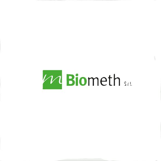 Logo 6
