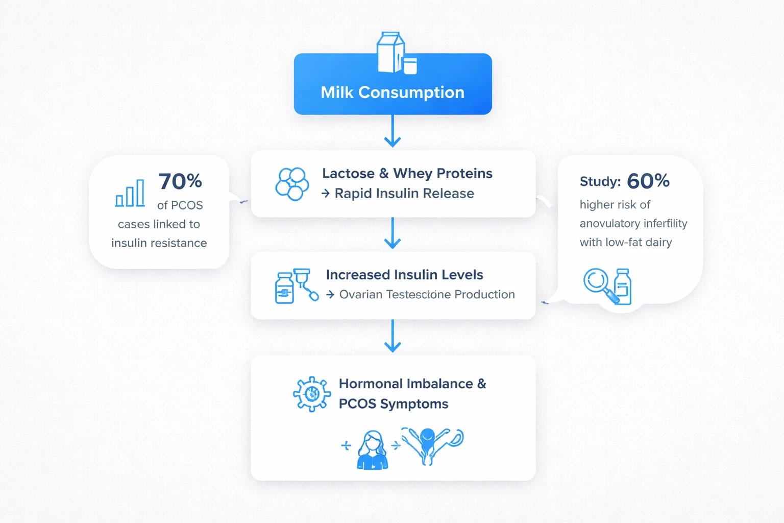 A modern flowchart on a light gray (#efefef) background using a vibrant blue accent (#3b82f6). The chart shows a central node labeled 'Milk Consumption' branching to 'Lactose & Whey Proteins → Rapid Insulin Release' which leads to 'Increased Insulin Levels → Ovarian Testosterone Production' and then to 'Hormonal Imbalance & PCOS Symptoms'. Additional side note boxes display '70% of PCOS cases linked to insulin resistance' and 'Study: 60% higher risk of anovulatory infertility with low‑fat dairy'. Clean icons and sleek typography give a contemporary look.