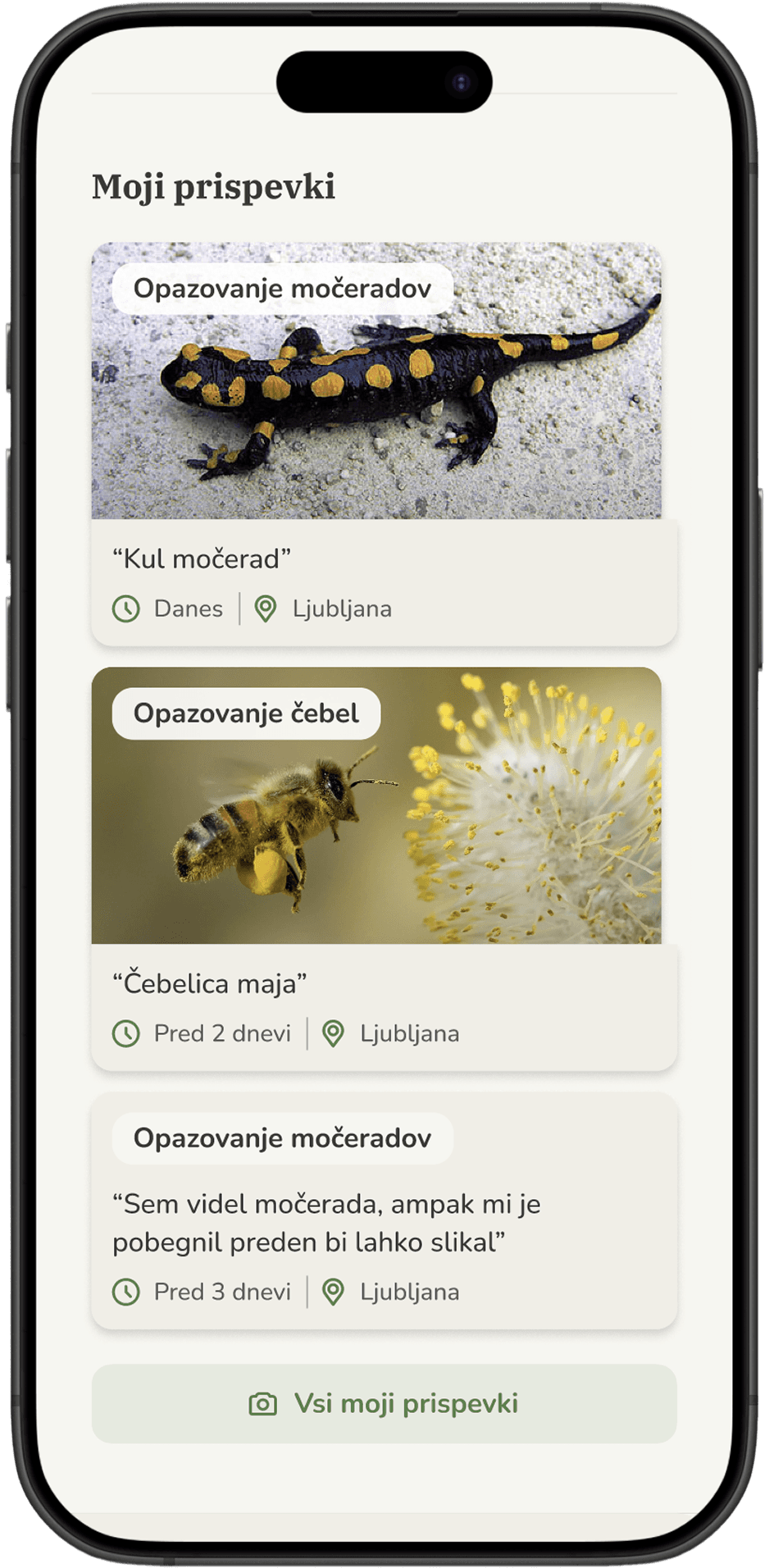 Zeleni prehod user dashboard 3