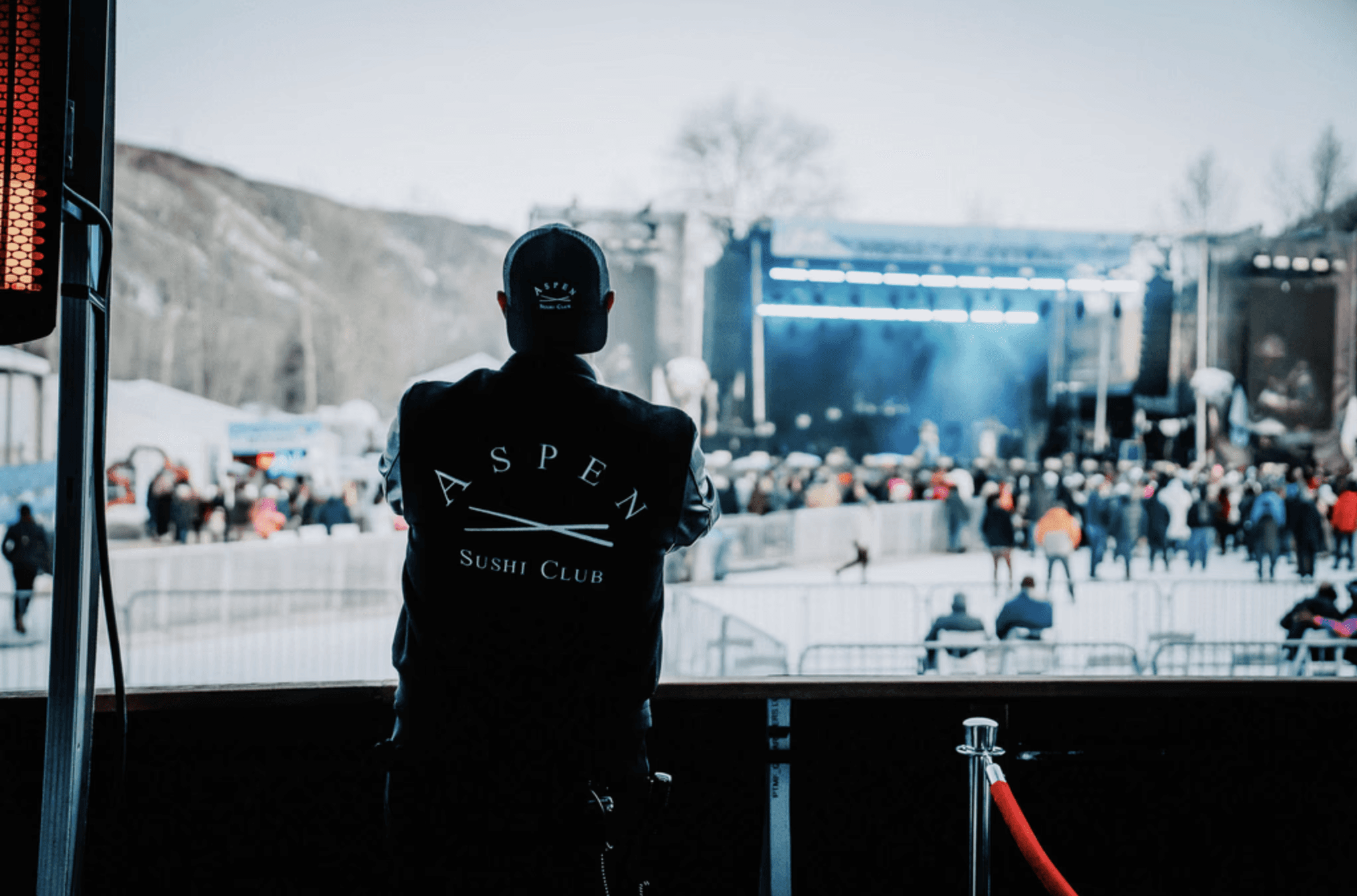 orange and white carrot on black surface