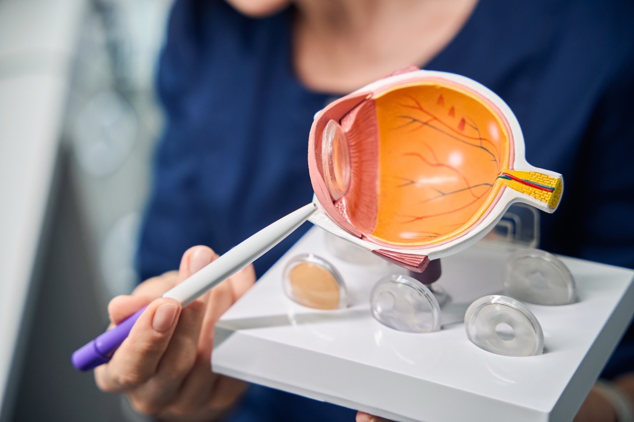 retina light-sensitive cells melanopsin body clock circadian rhythm
