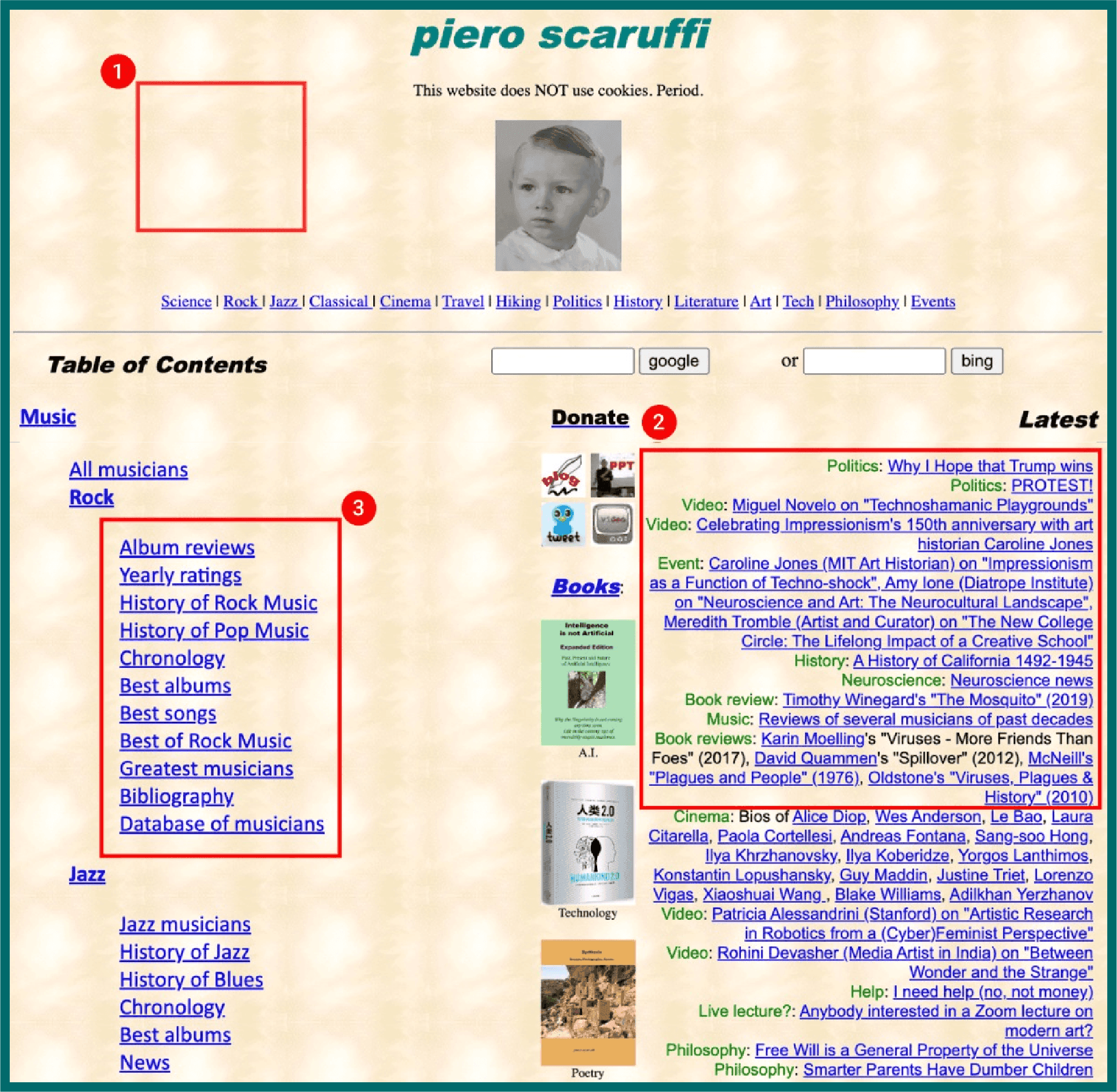 Annotated screenshot pointing out where the specific issues are. Labeled #1 is a red rectangle simply highlighting the patterned background of the website. Labeled #2 is a rectangle highlighting a bunch of text that is aligned to the right. Labeled #3 is a rectangle highlighting a bunch of linked text