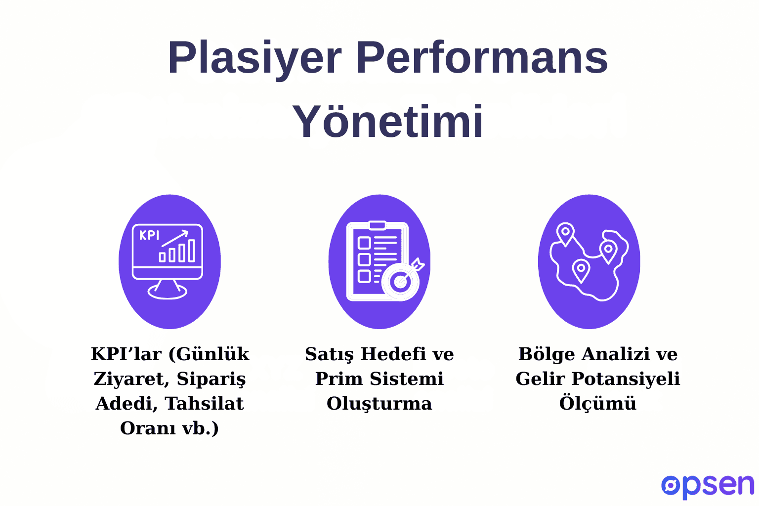 Plasiyer Performans Yönetimi