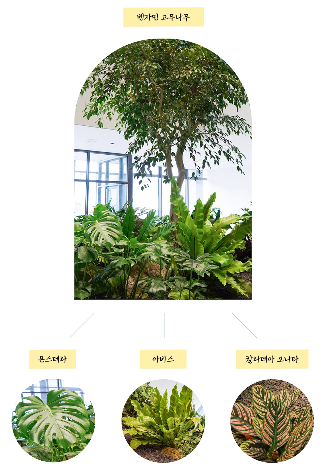 제조기업 로비 실내조경
