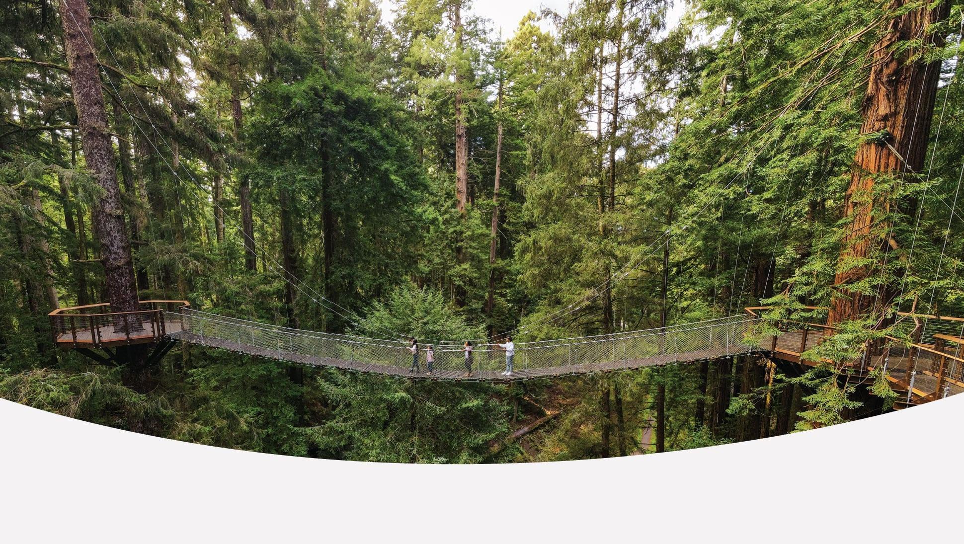 Visitors crossing the suspended Redwood Sky Walk among tall redwood trees at Sequoia Park Zoo in Eureka.