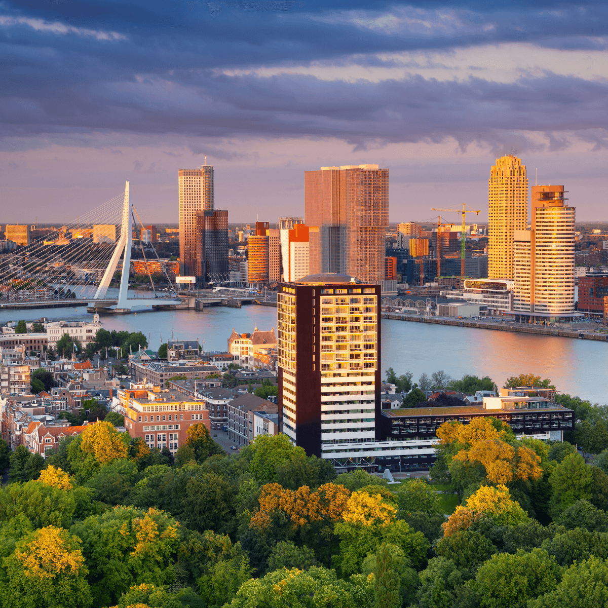 Race Rotterdam