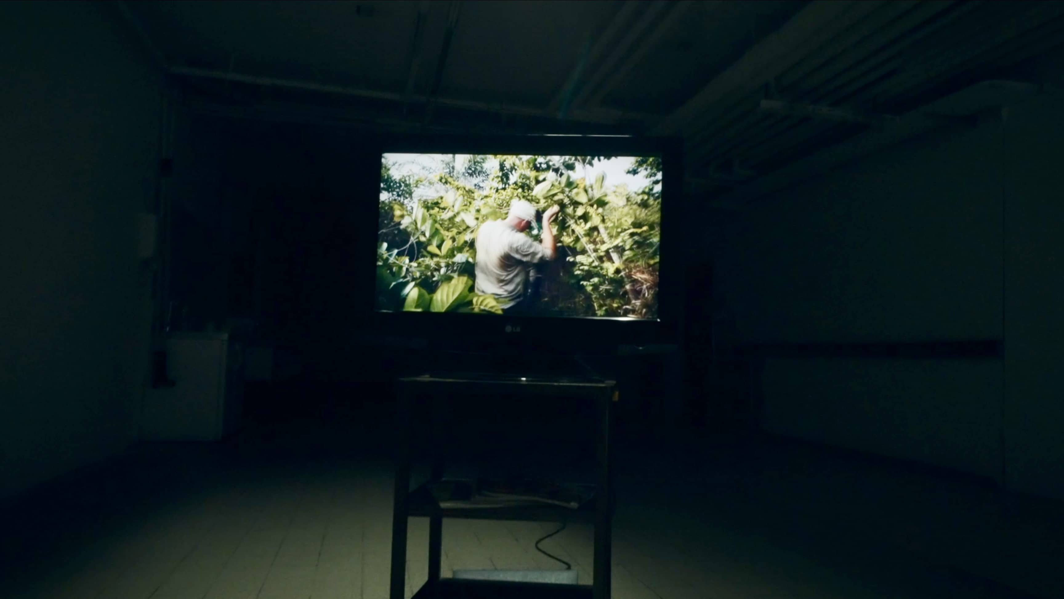 Der VHS-Sender zeigt ein Video von Gärtnern