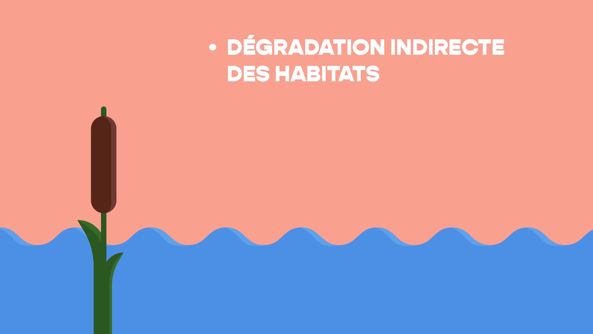 Planche 20 du storyboard