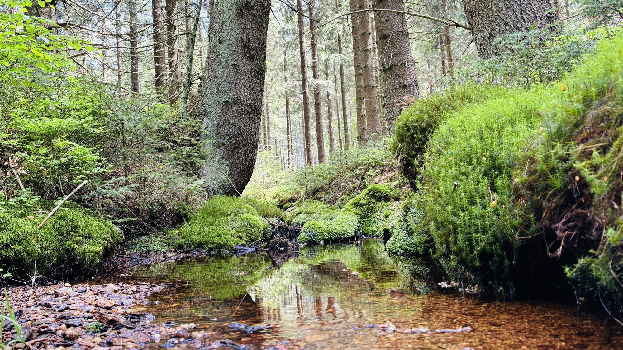 Blog image 01 