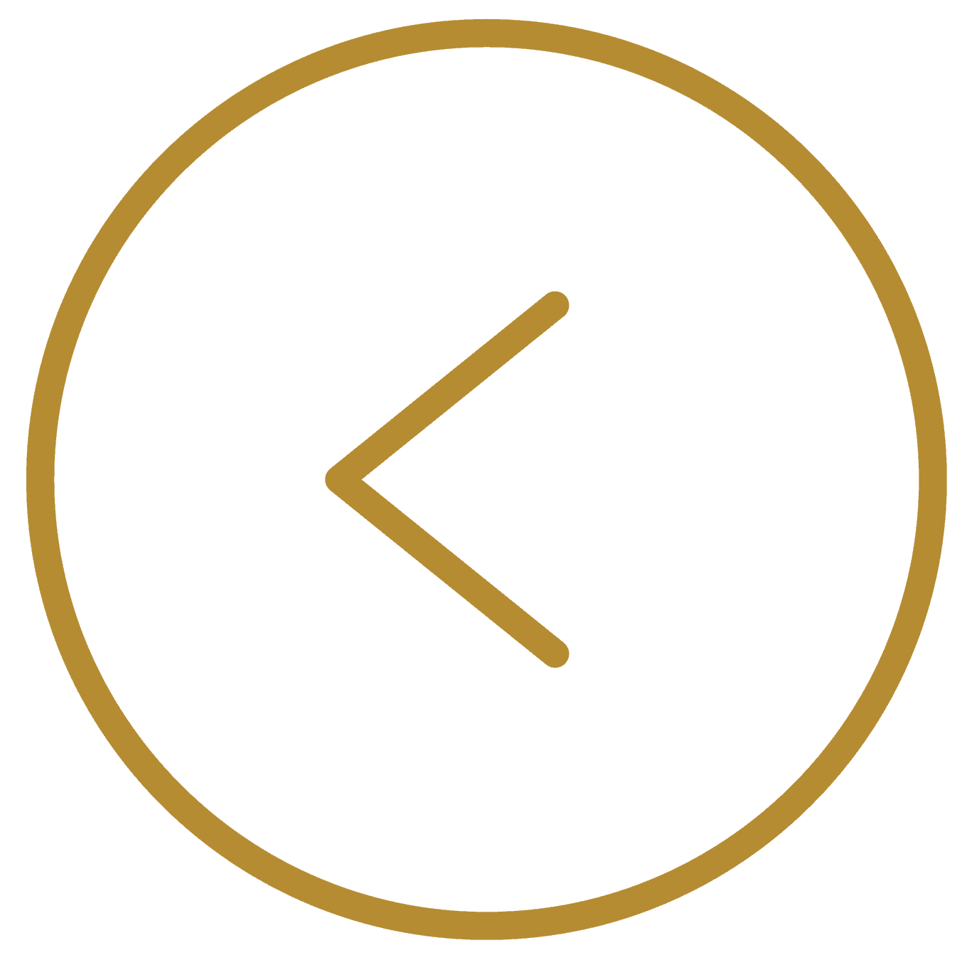 Back Arrow