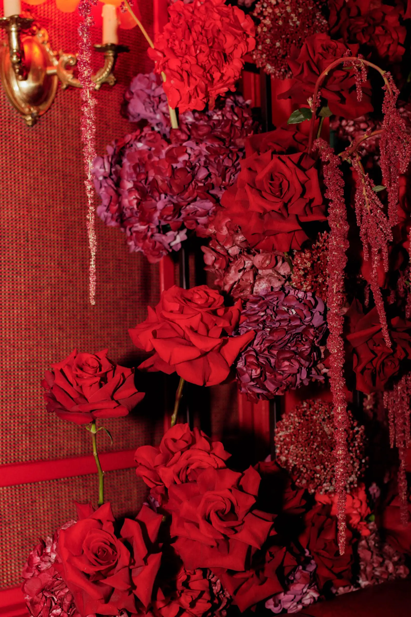 Primer plano de rosas rojas y hortensias bordó integradas en pared texturizada de estilo barroco.