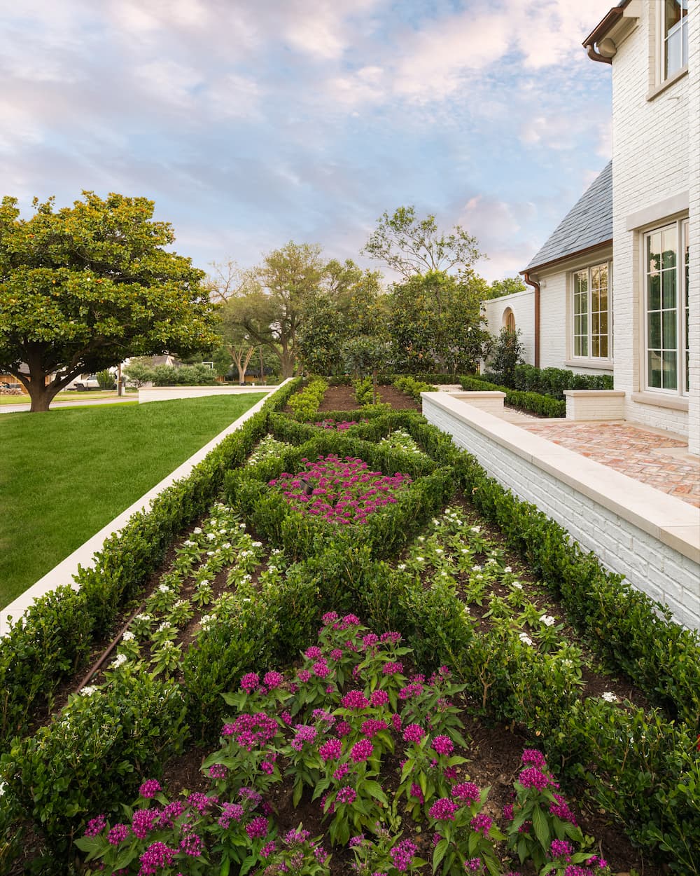 Residential garden design featuring vibrant pink flowering shrubs and curved pathway with professional landscape installation