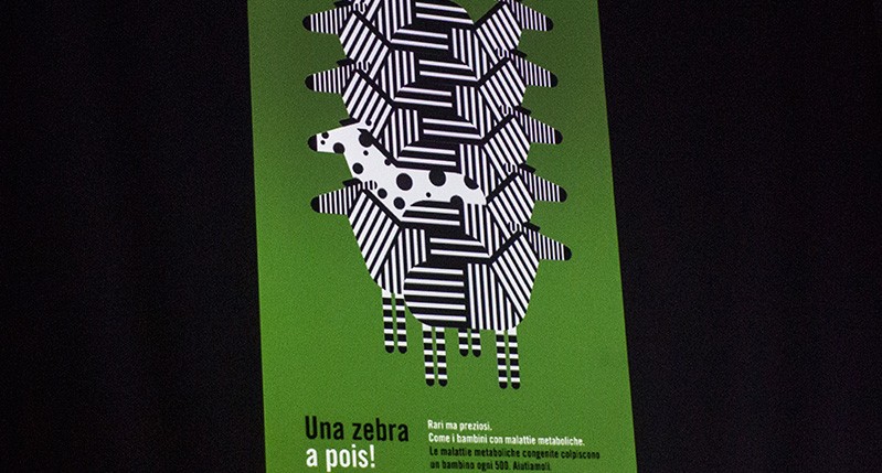 Zebra poster