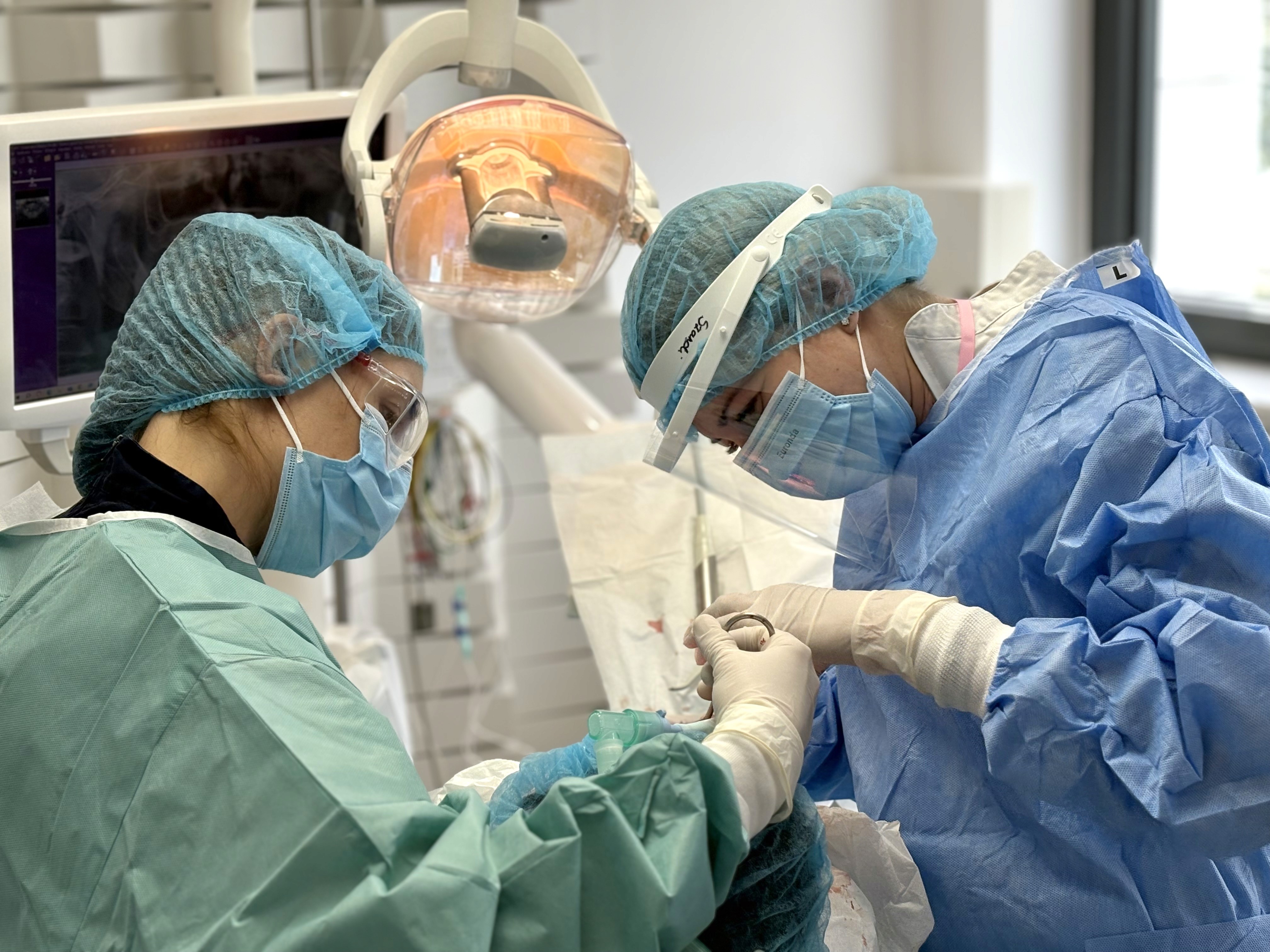 Imperial Dental szájsebészei, kezelés közben