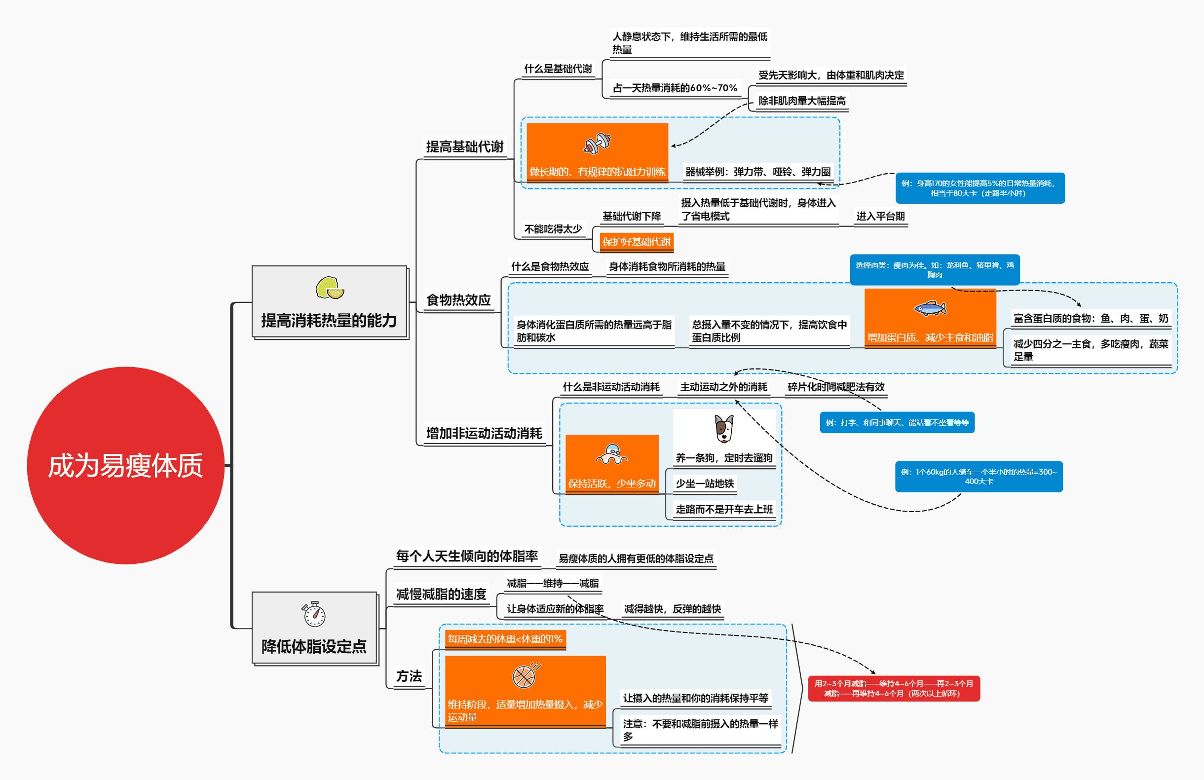 思维导图展示分享心得
