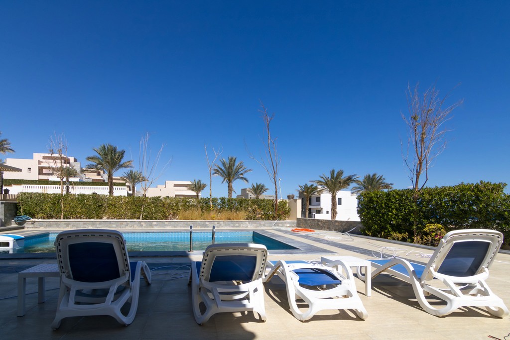 houses surrounded with plants