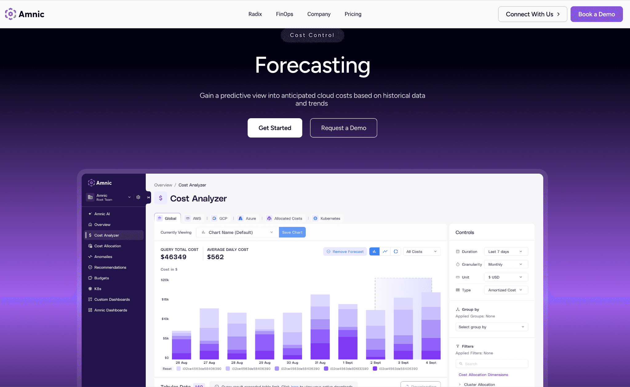 Amnic Cloud Forecasting Software