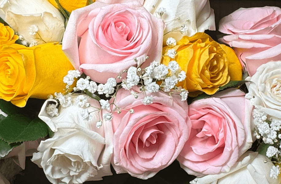 Las rosas son más que solo flores hermosas