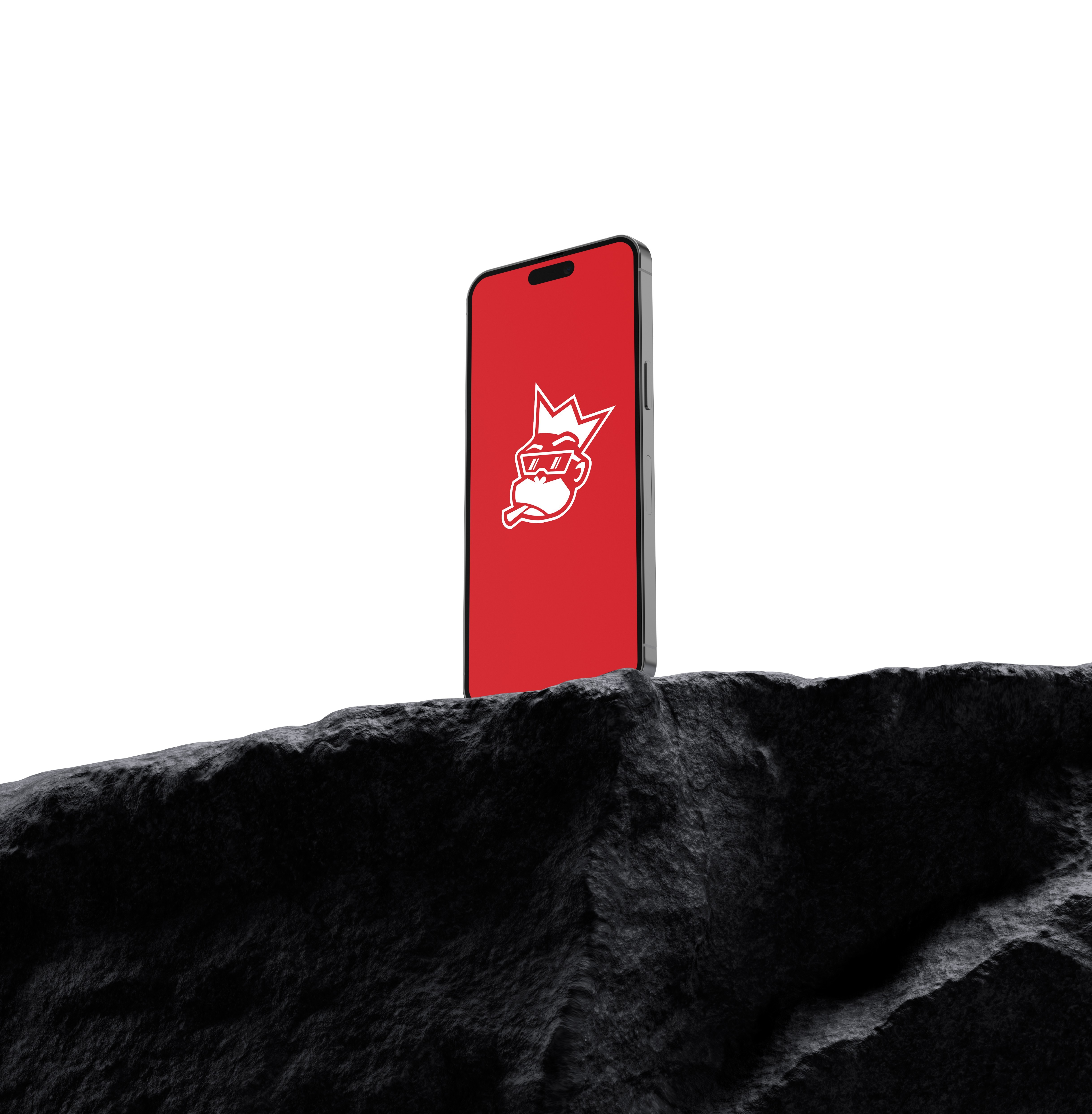 dap brand identity mockup