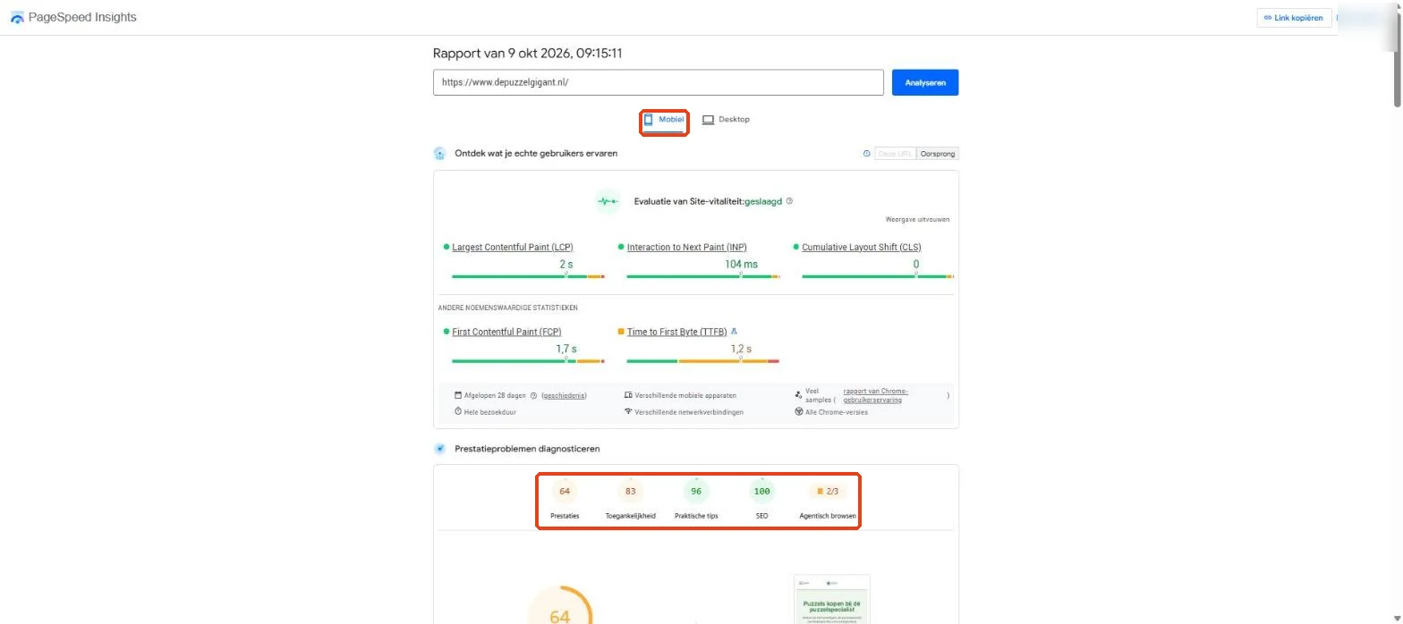 PageSpeed Insights: de mobiele score bij Prestaties