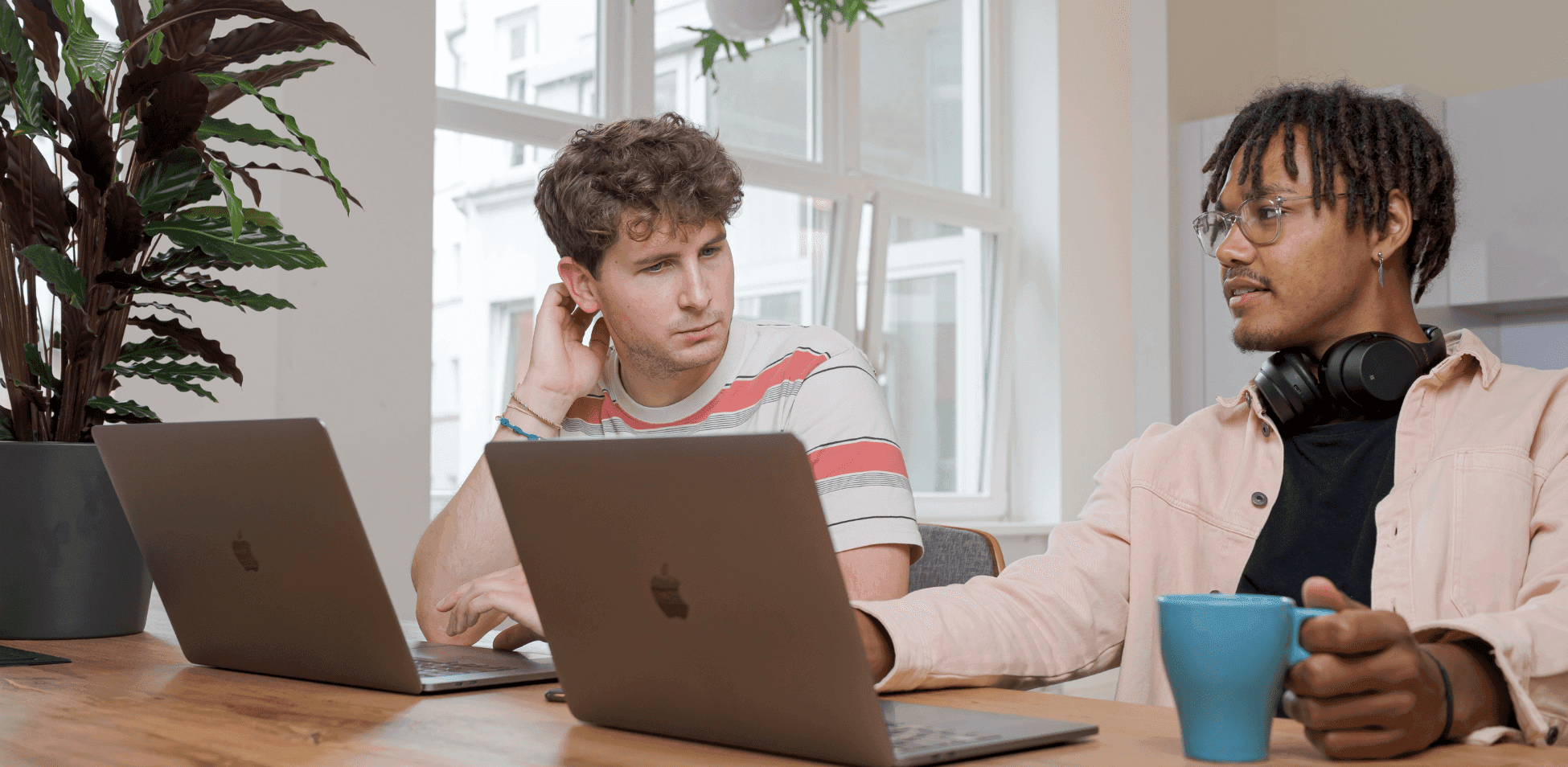 Dau berson yn defnyddio llyfrau nodiadau (laptops) wrth fwrdd gyda phlanhigion yn y cefndir.