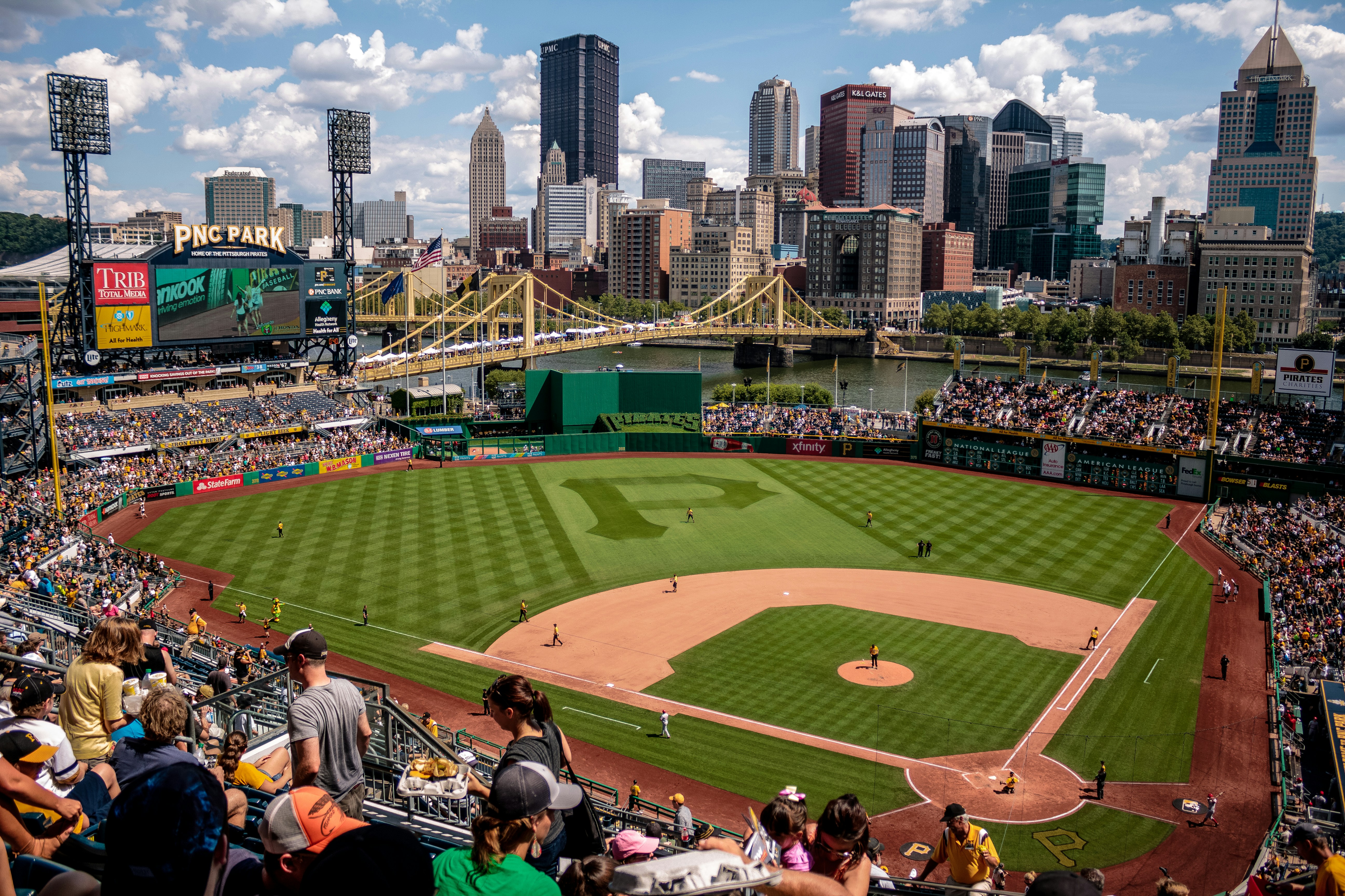 Baseball Stadium as seen by a spectator in the stadium