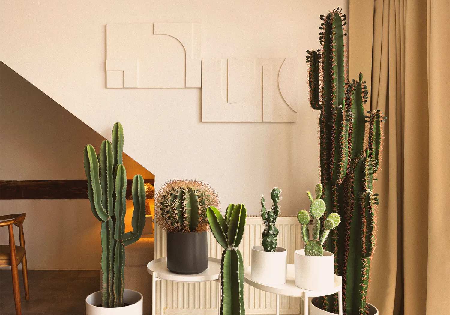 Loft N°3 • cactus collection under the sloped roof in front of a white plaster relief