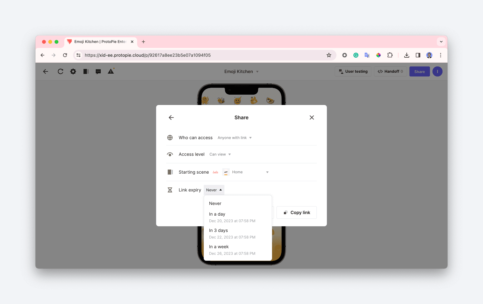 {'_type': 'localeString', 'en': 'pie access link expiry'}