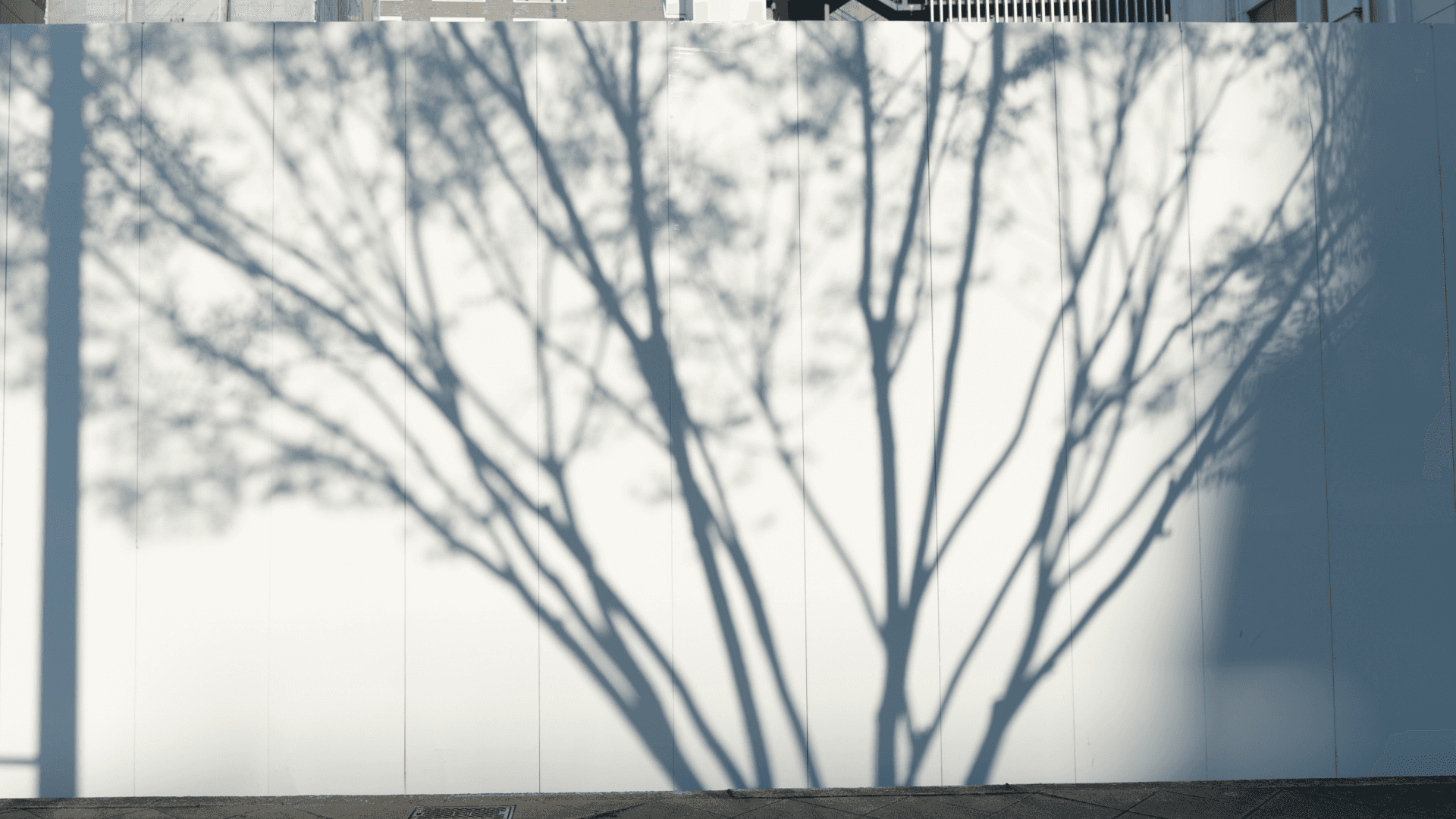 ilustration a wall