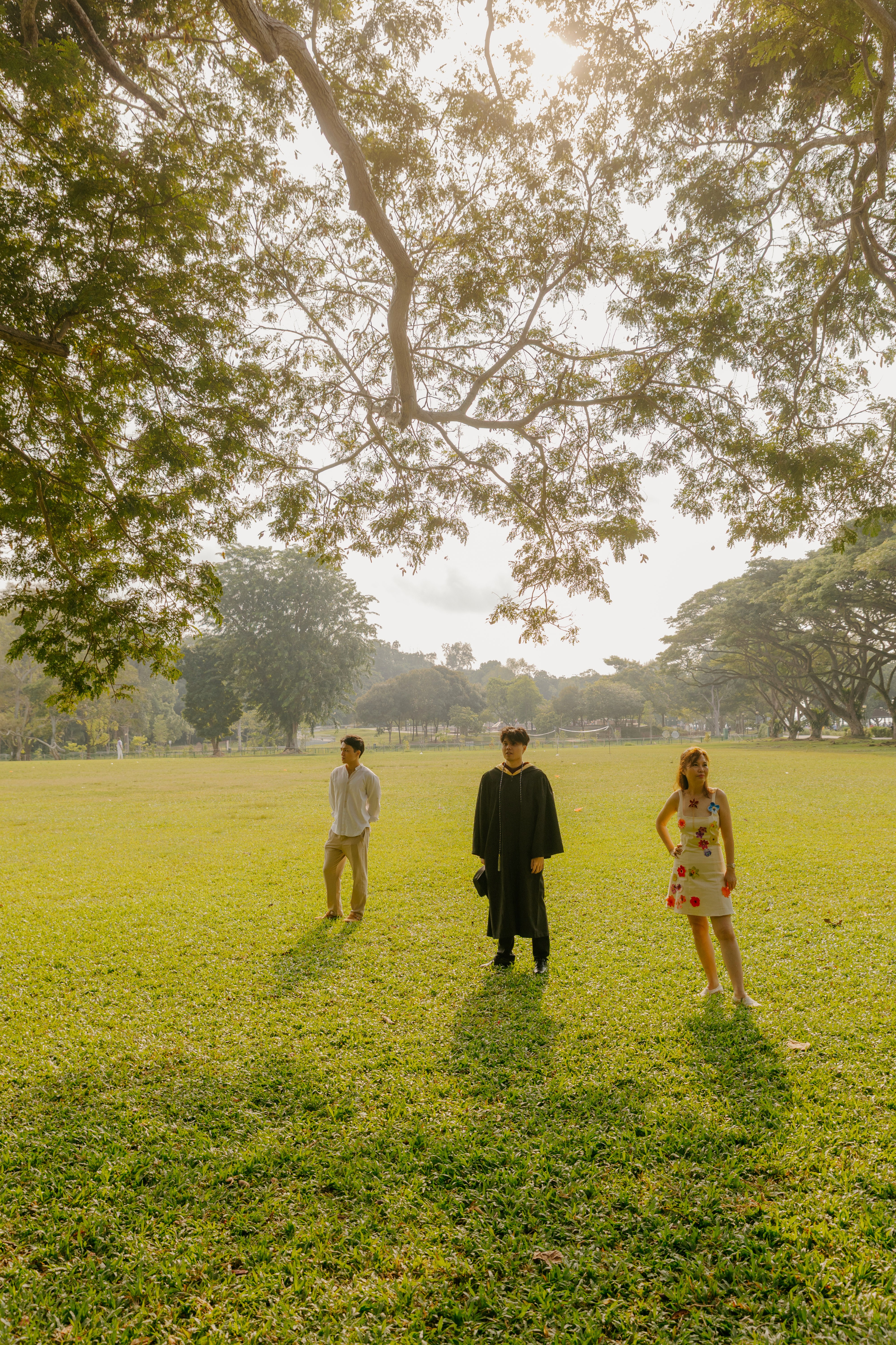 Wide shot of the park landscape showing the graduate and two others standing in the distance under a large tree.