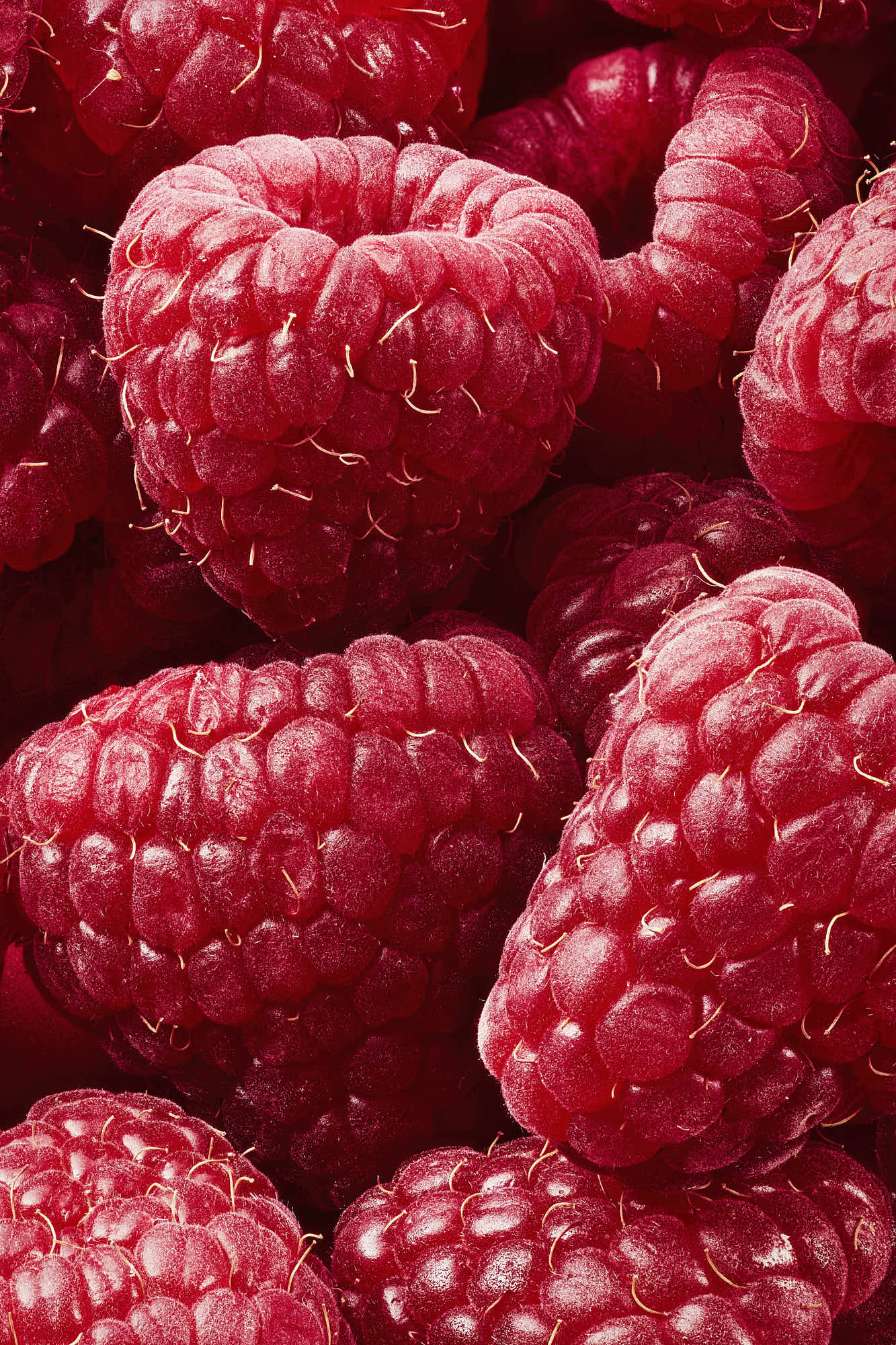 Close-up of fresh raspberries with rich red color and detailed texture.