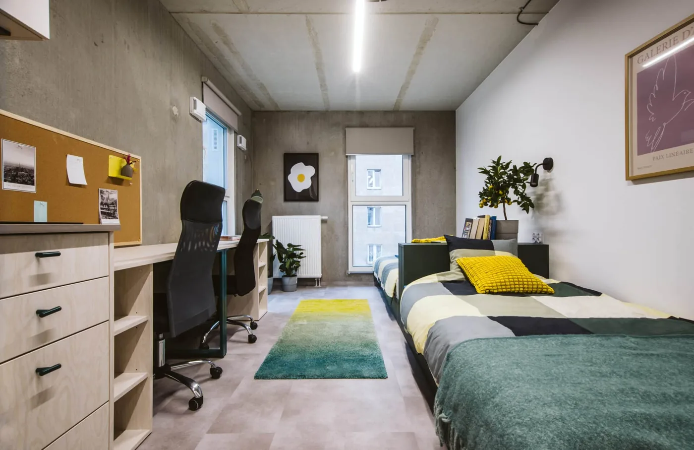 Twin student room in Warsaw accommodation with two beds and study desks