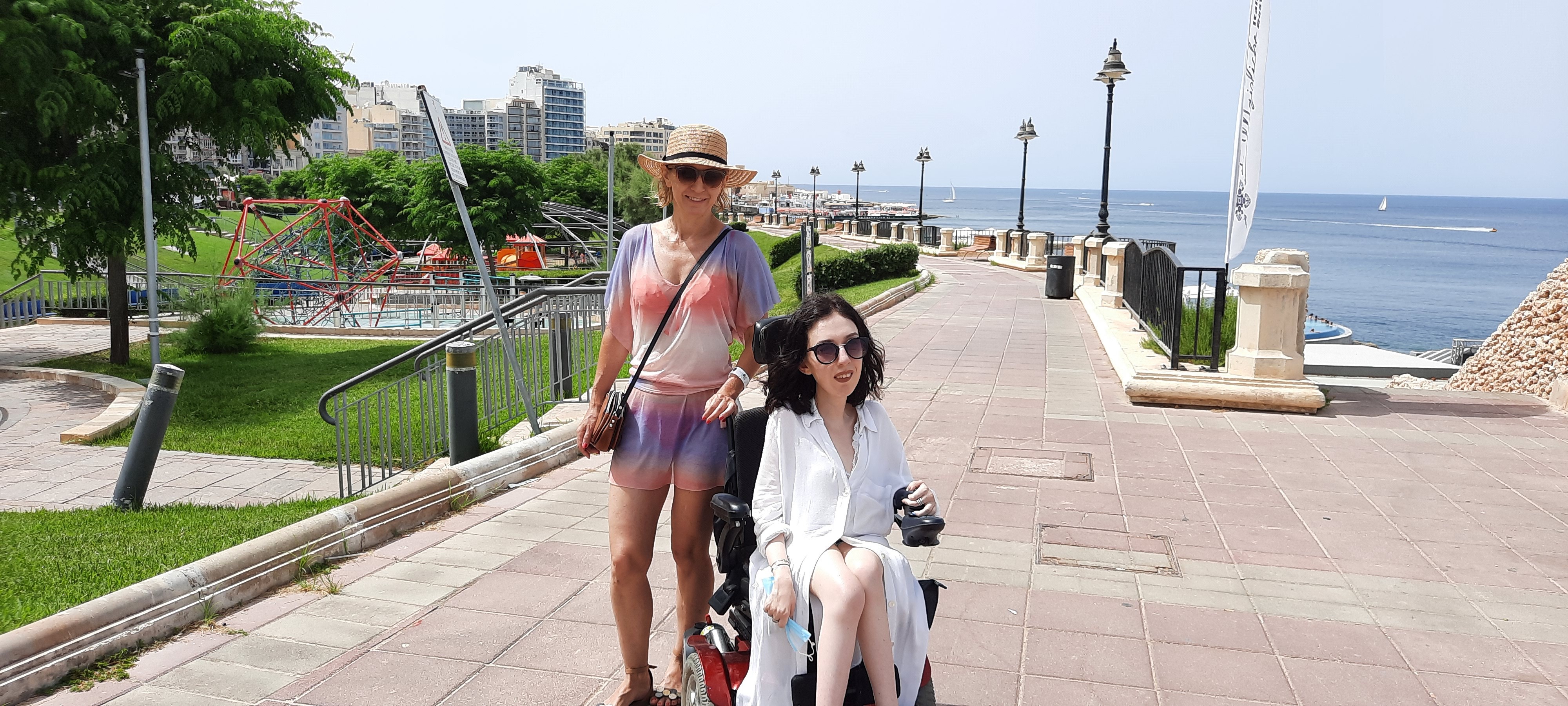 a brown dog sitting on top of a sandy beach
