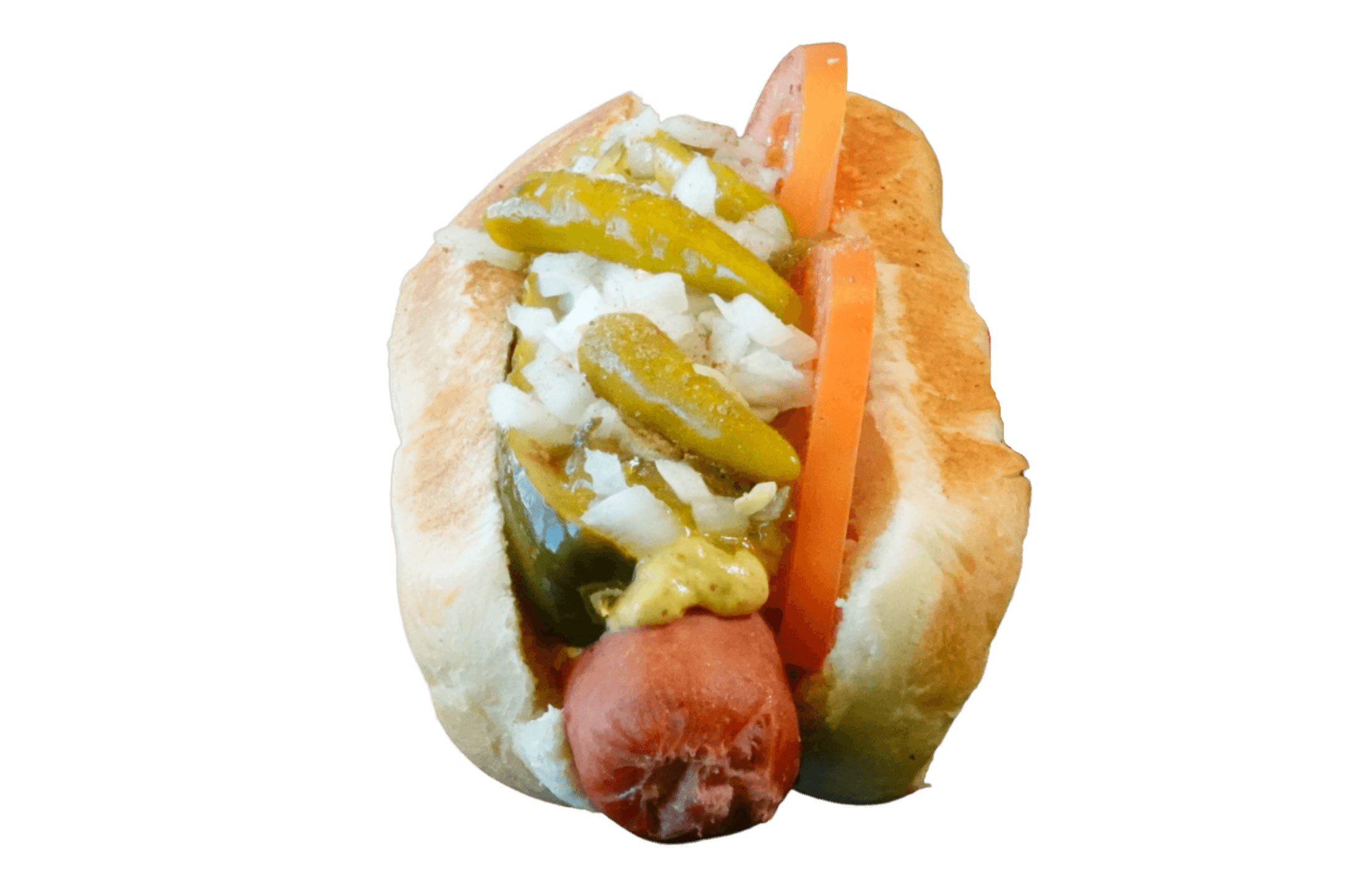 Chicago style hot dog