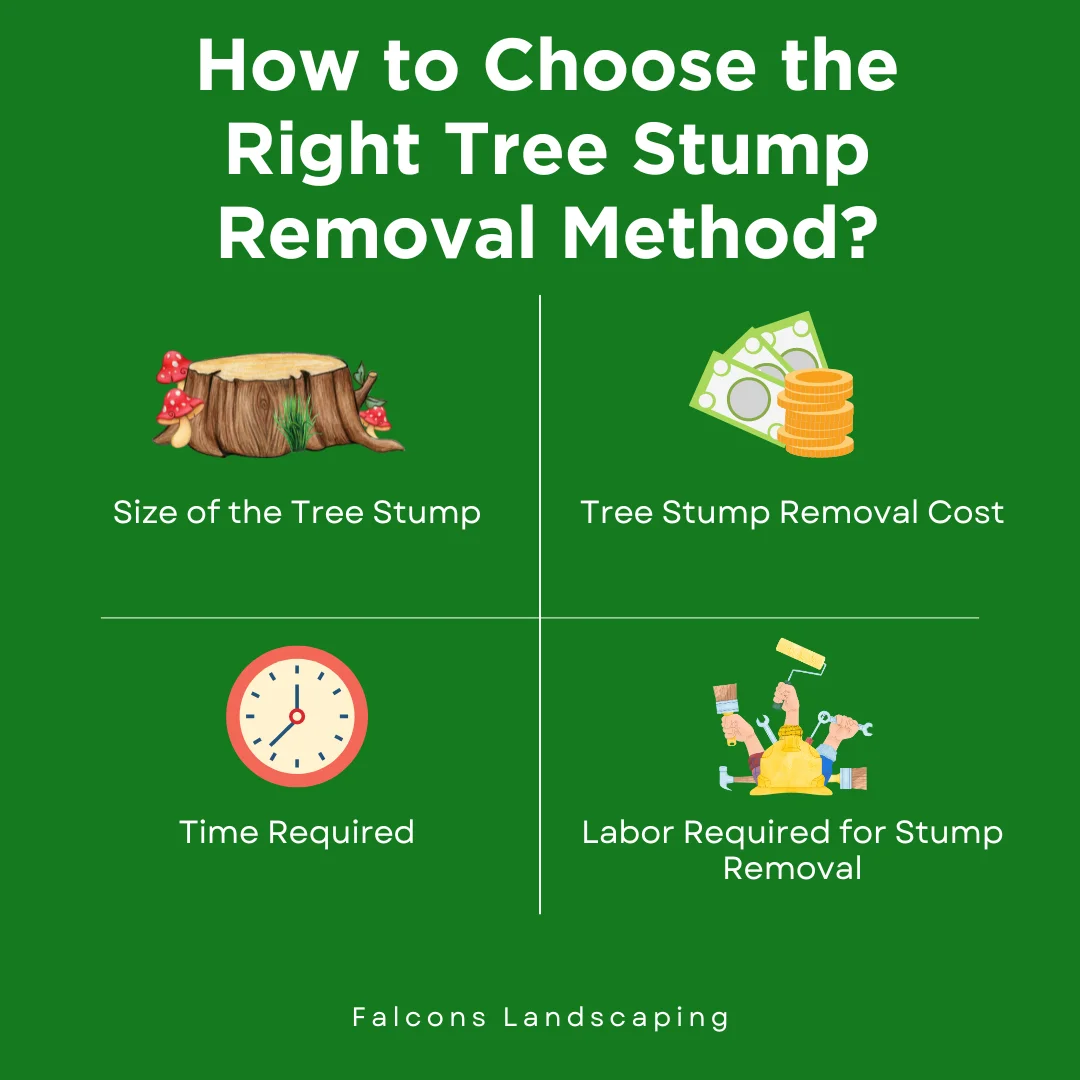 An infographic on how to choose tree stump removal method