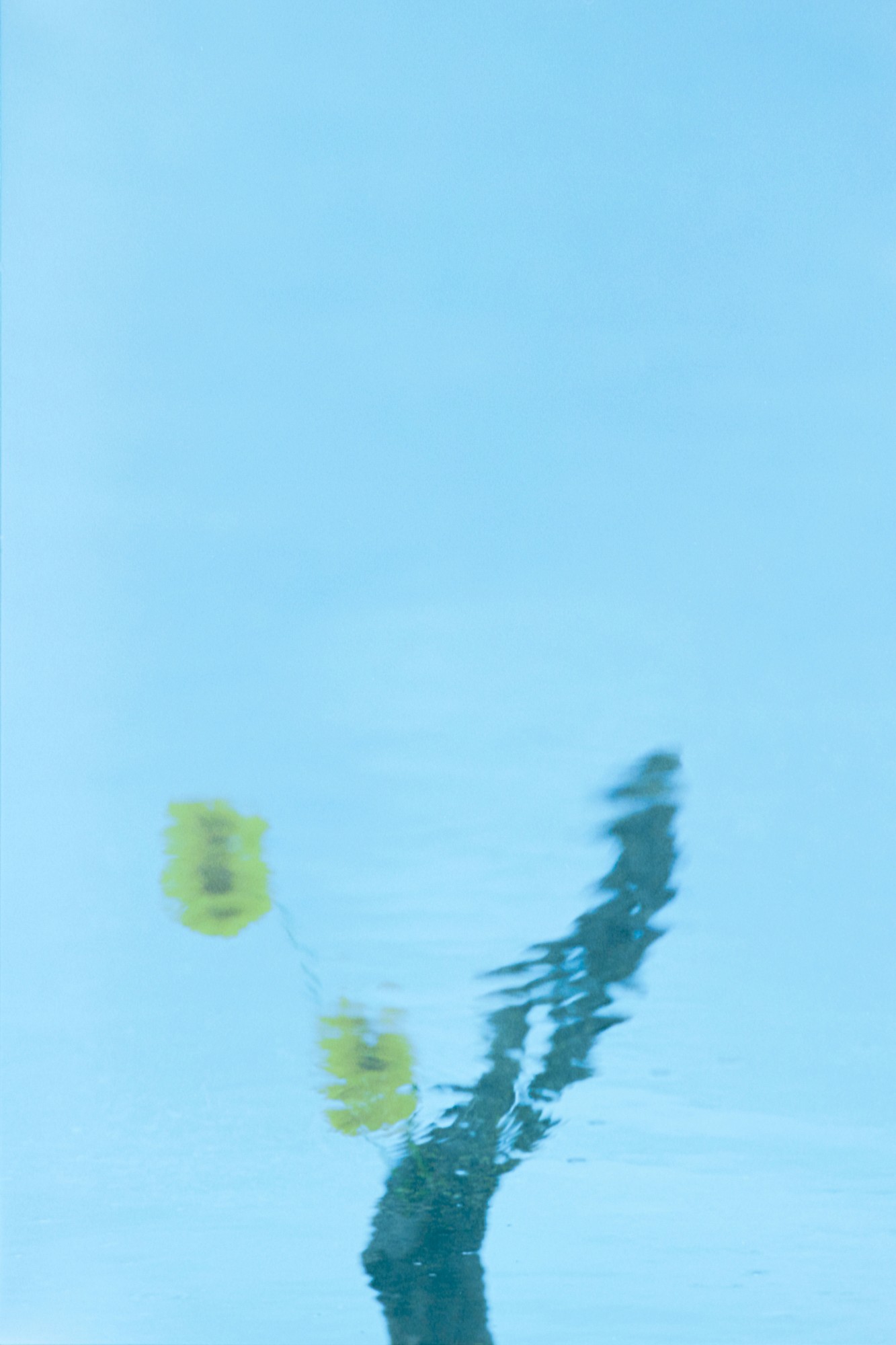 Taisei Matsumoto, 2023 exhibition work 027