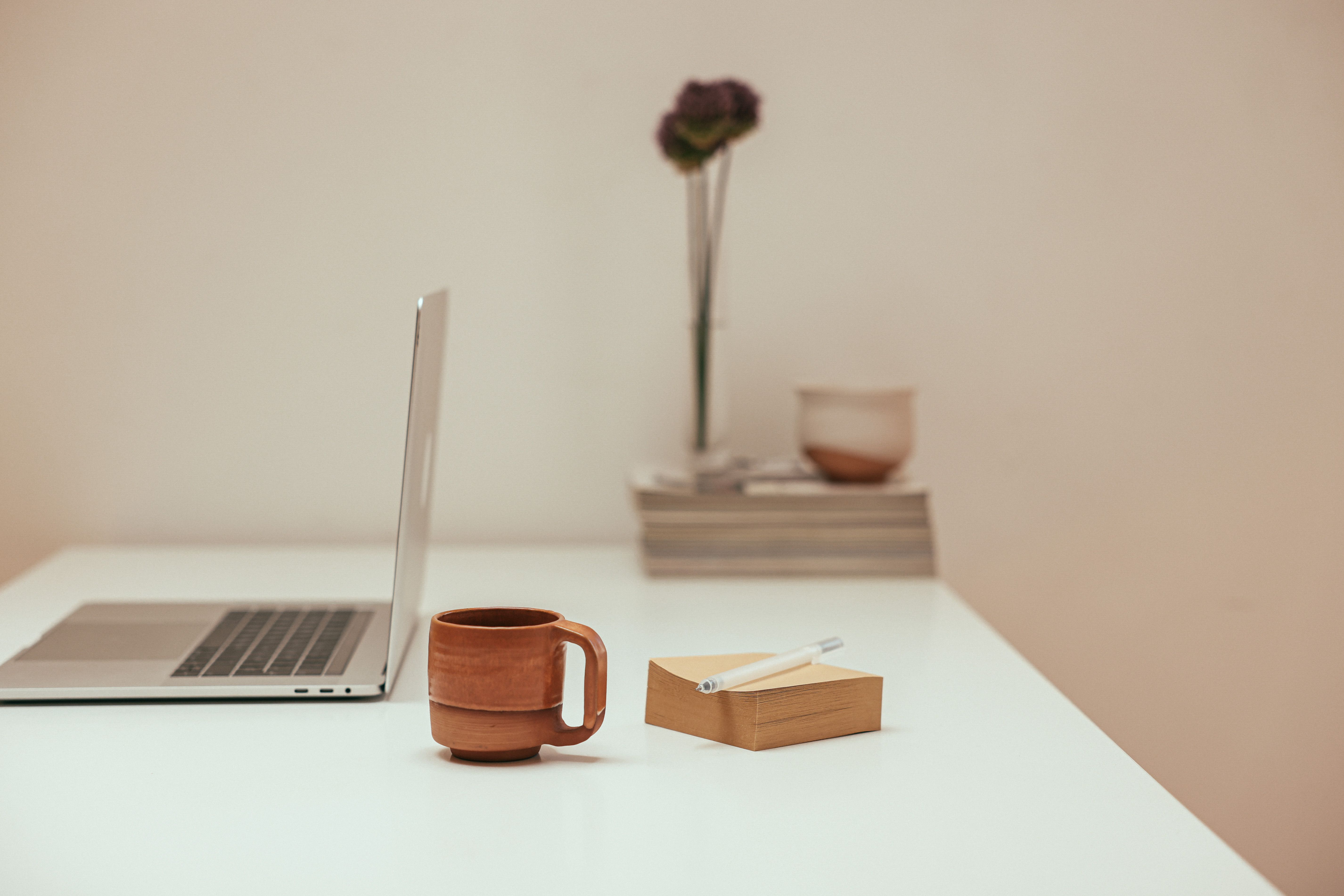 Minimalist workspace with a laptop, notebook, ceramic mug, and olive branch on a beige desk