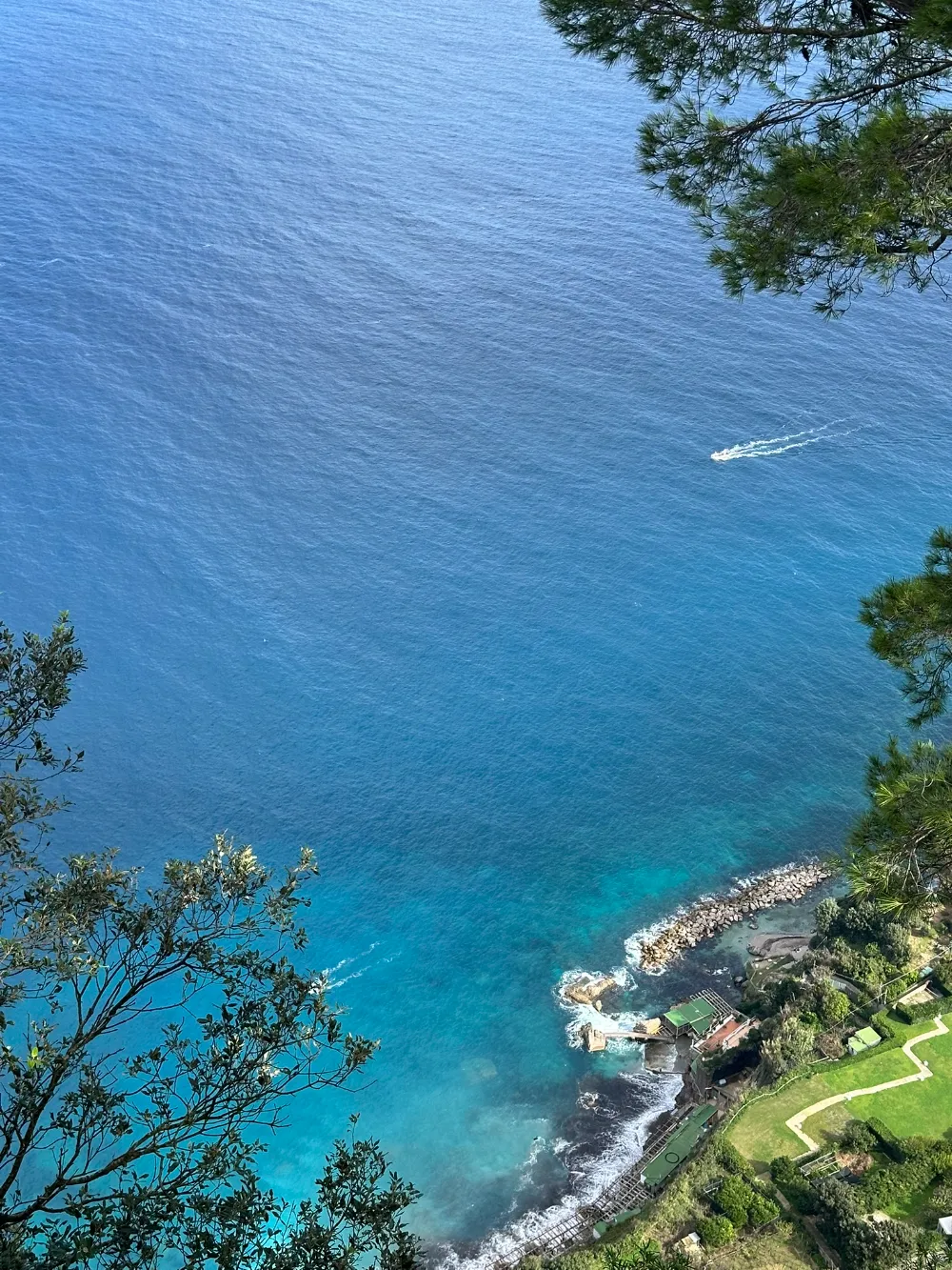 Clear turquoise water and rocks below Capri's cliffs, seen through pine branches.
