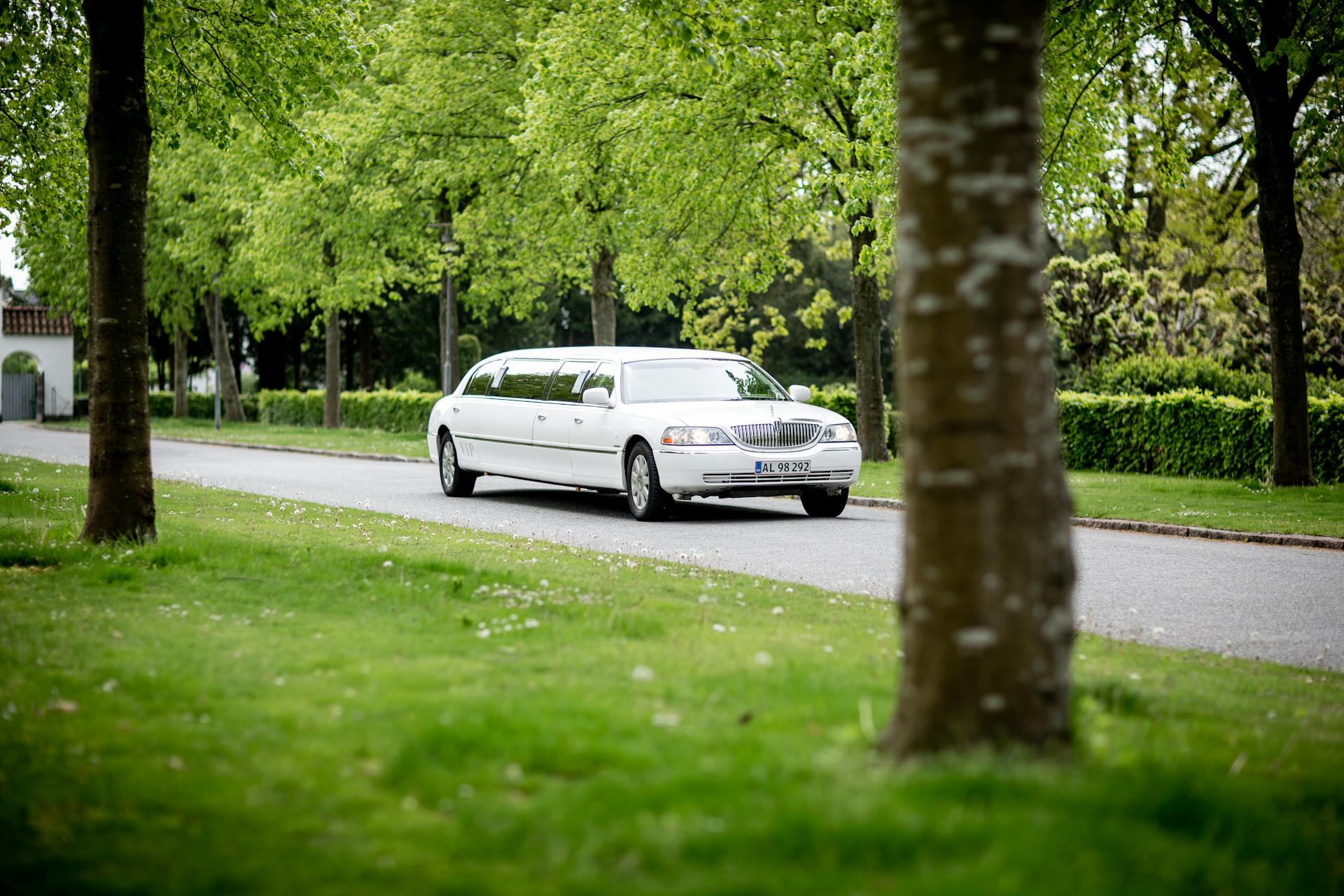 White limousine driving along a tree-lined road, showcasing luxury transportation for special occasions and corporate events, reflecting States Car Service's hourly chauffeur offerings.