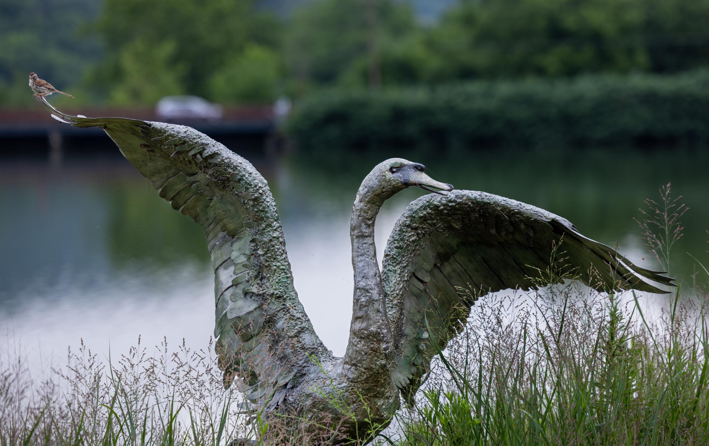 Lake Junaluska Swan Sculpture with Friend