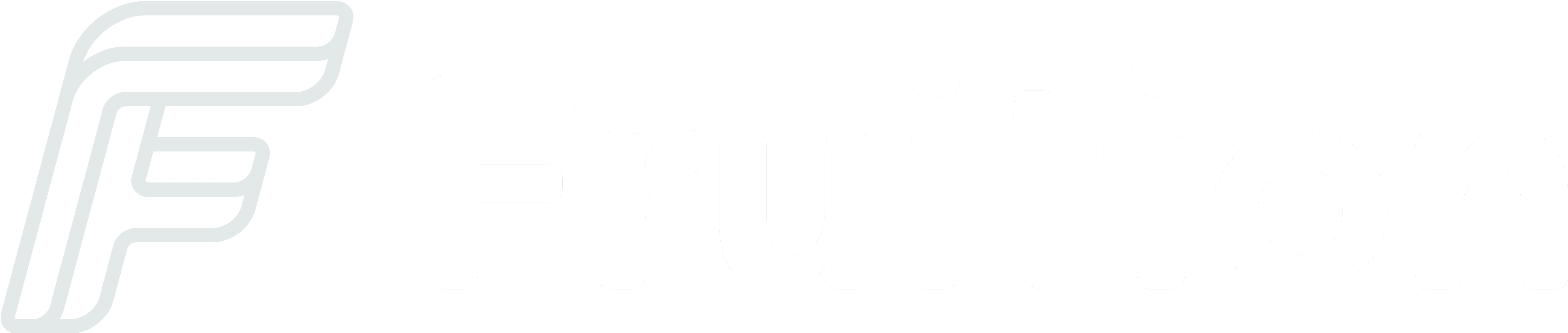 Fruition logo in white with logomark and wordmark