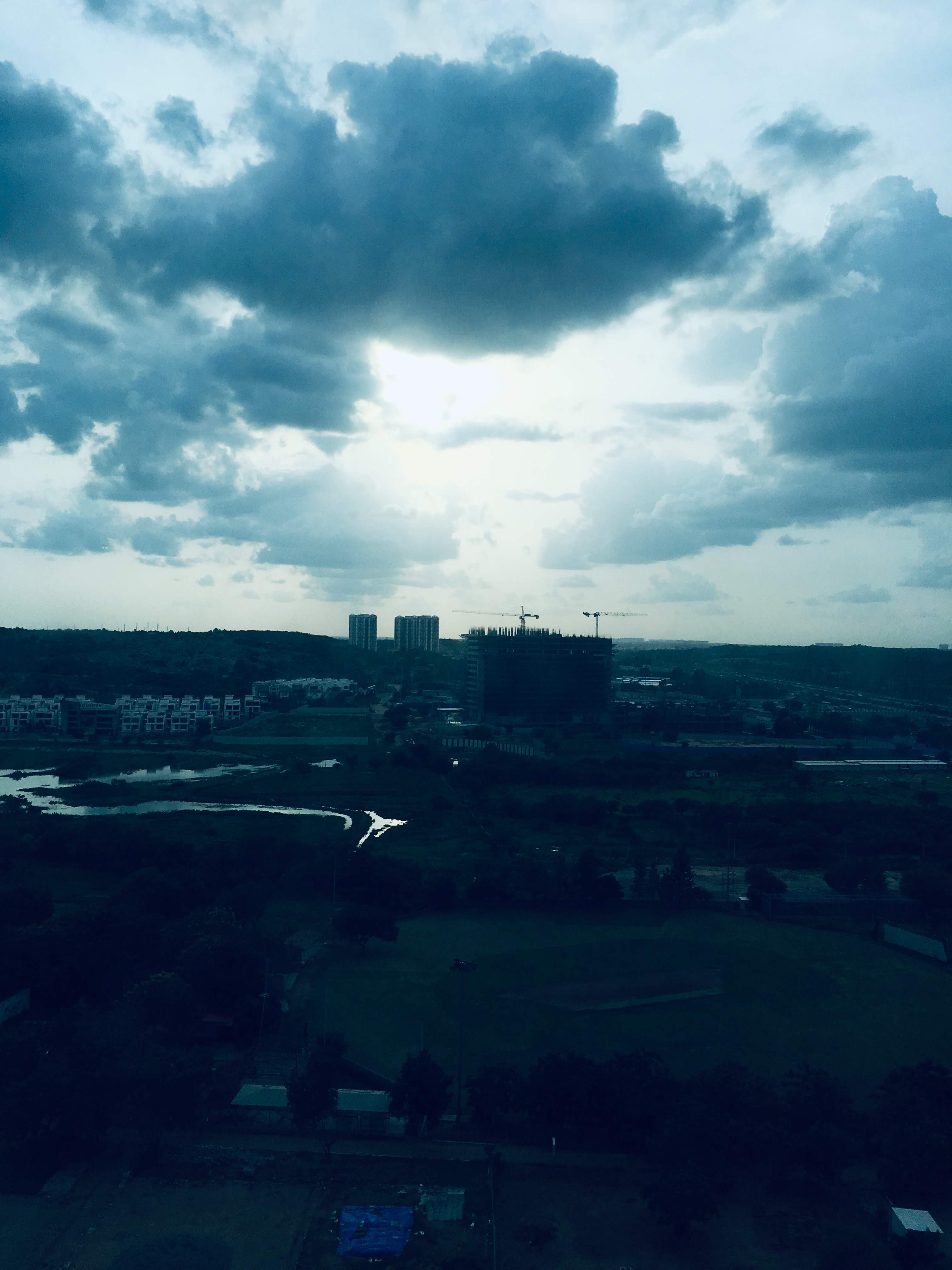 Siednji Leon Unsplash