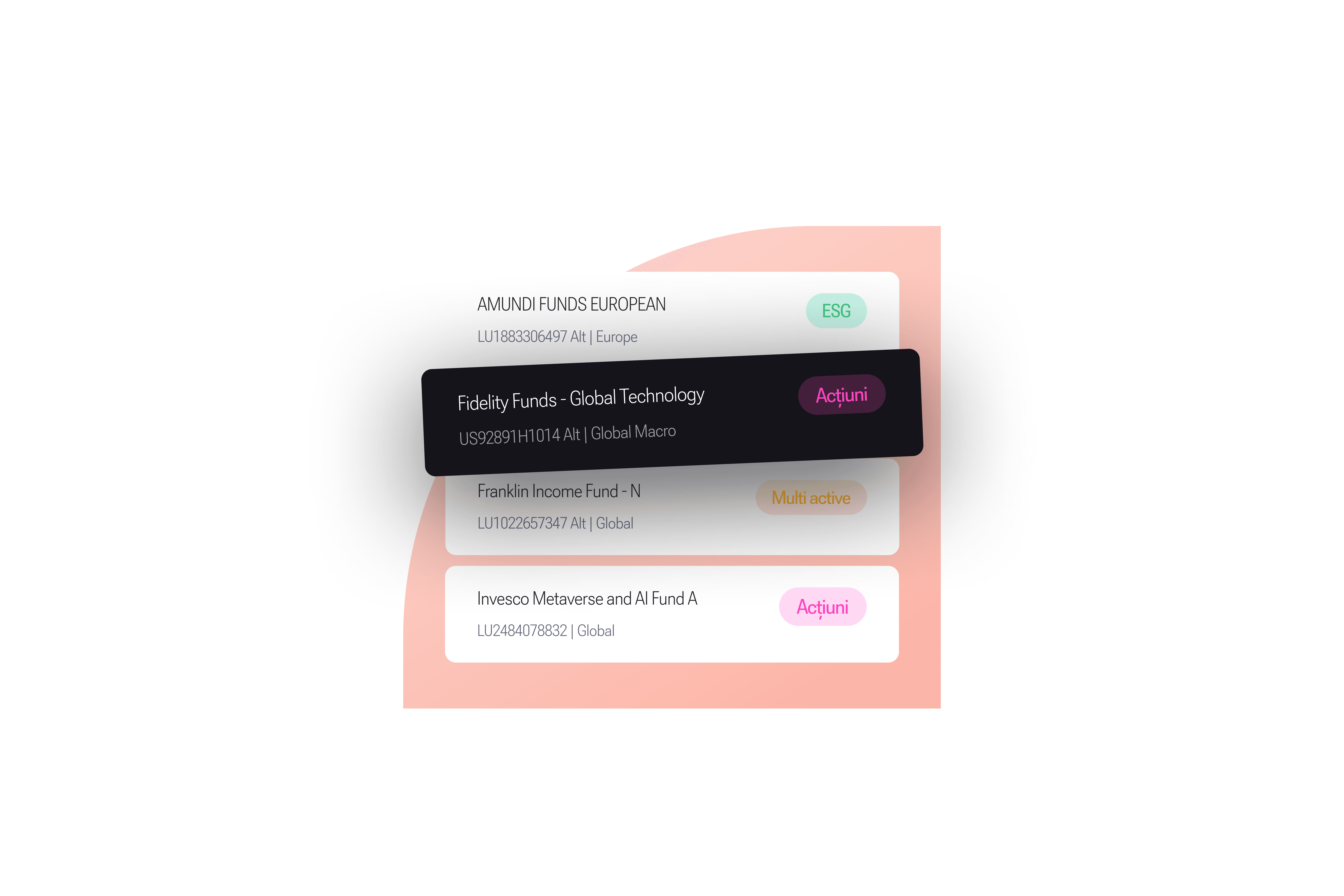 iFonduri mockup