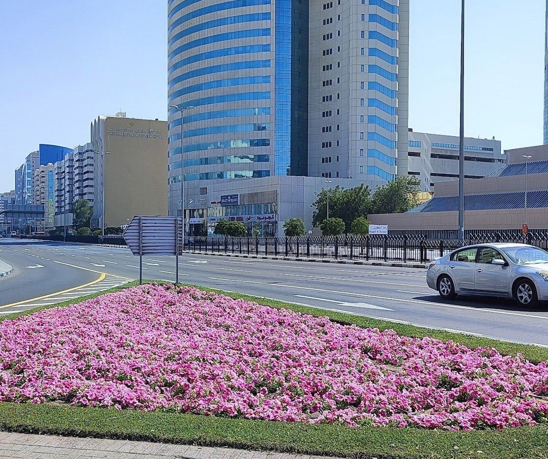 Beautifully landscaped road leading to Al Reem Tower, showcasing accessible real estate in a vibrant district.