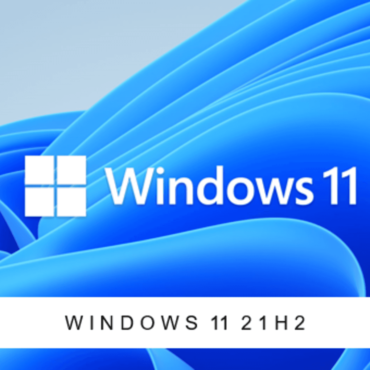 windws 11 21h2 logo