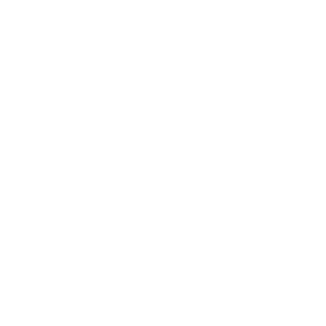Social Icon