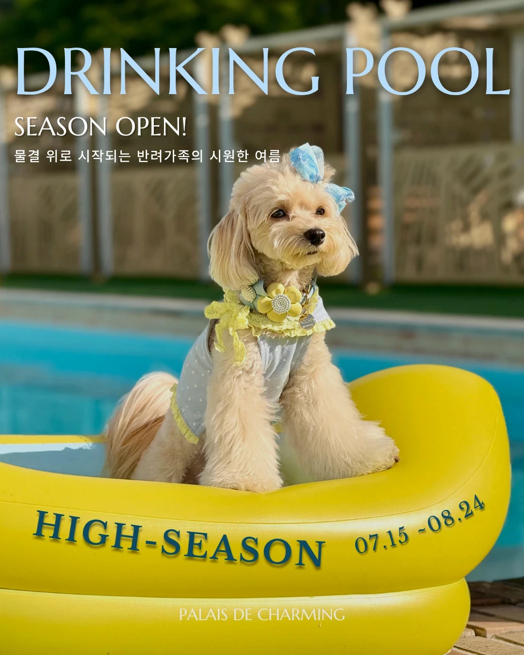 Main Visual