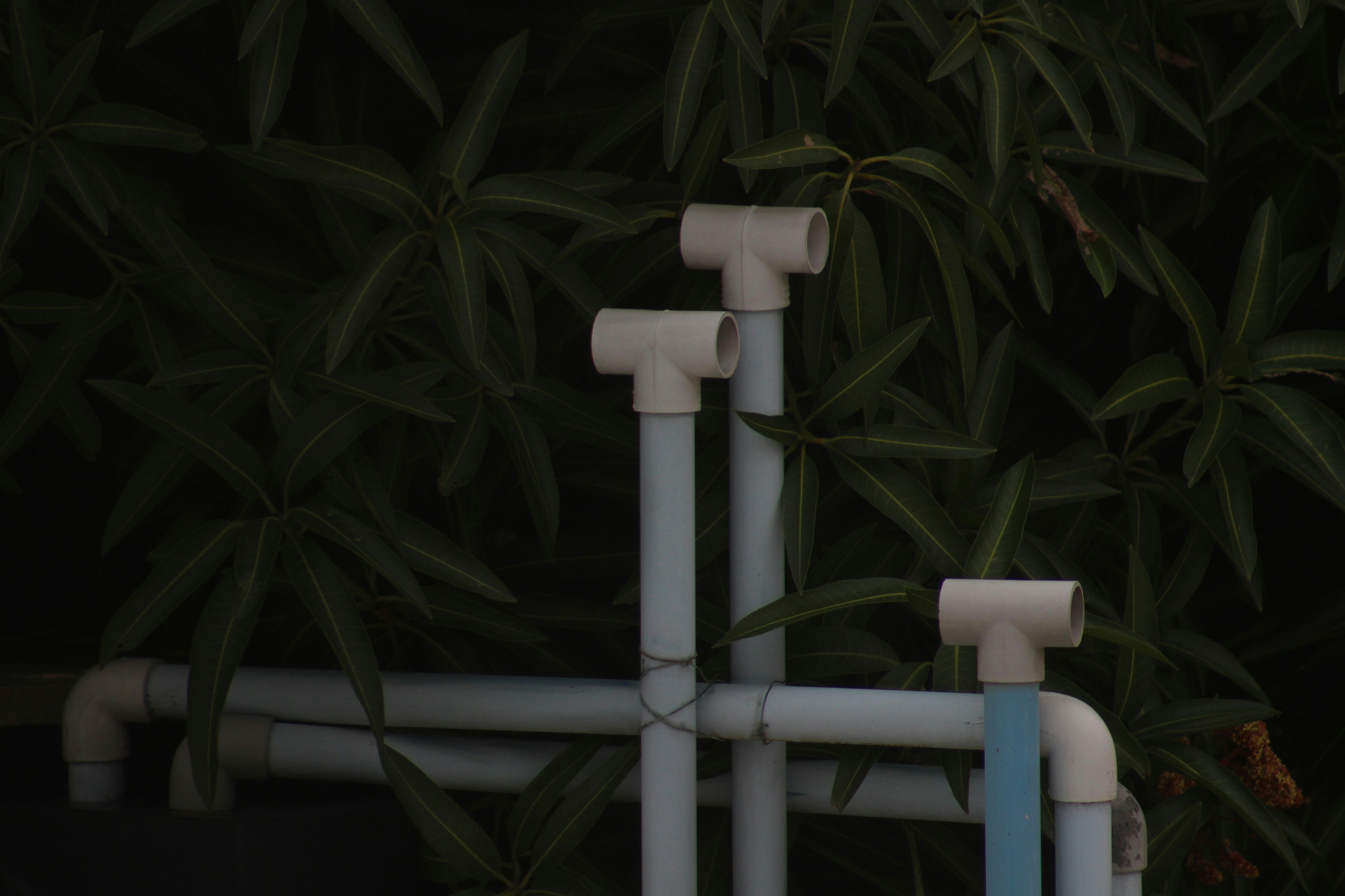 A close up of pipes and pipes in front of a tree