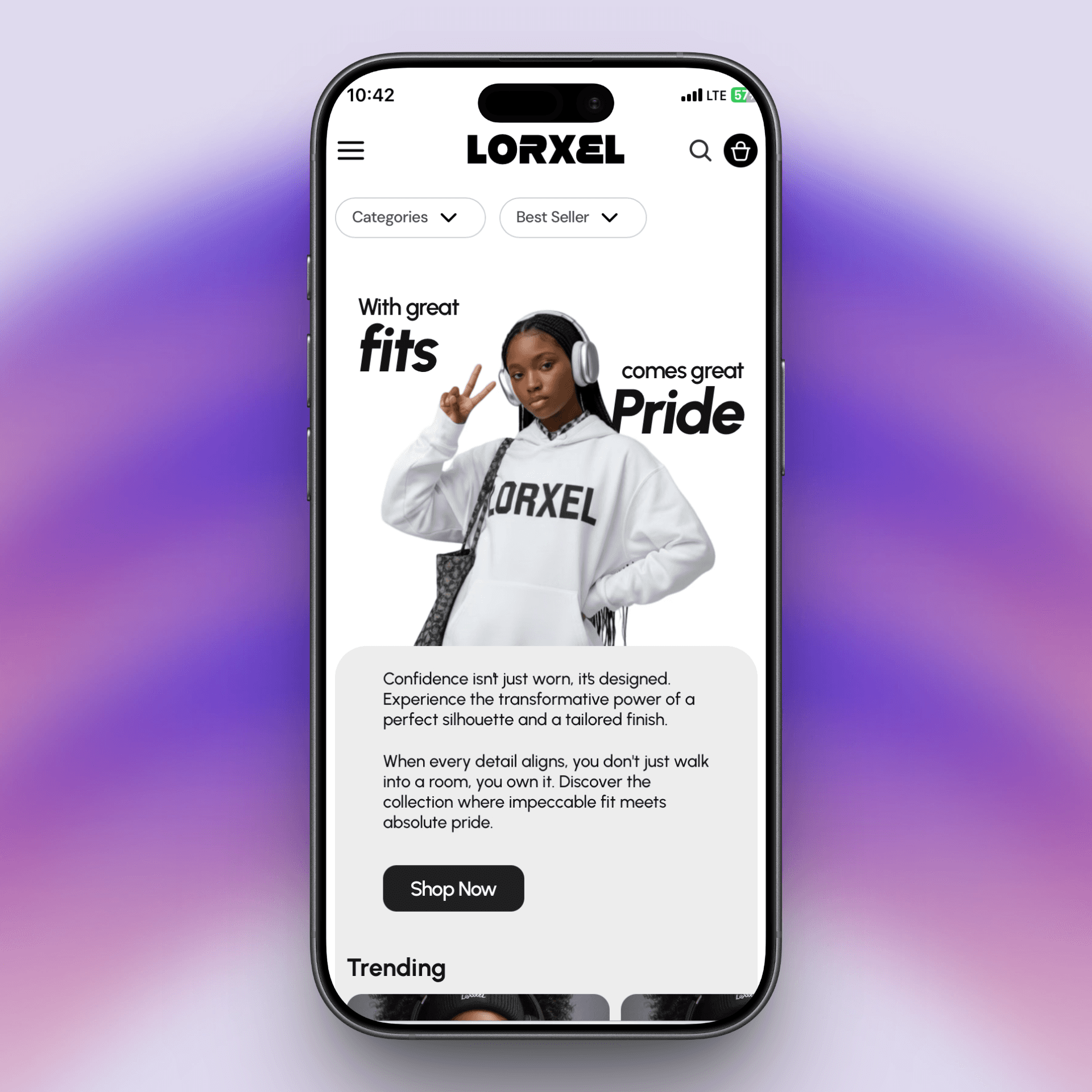 Example work of framer development