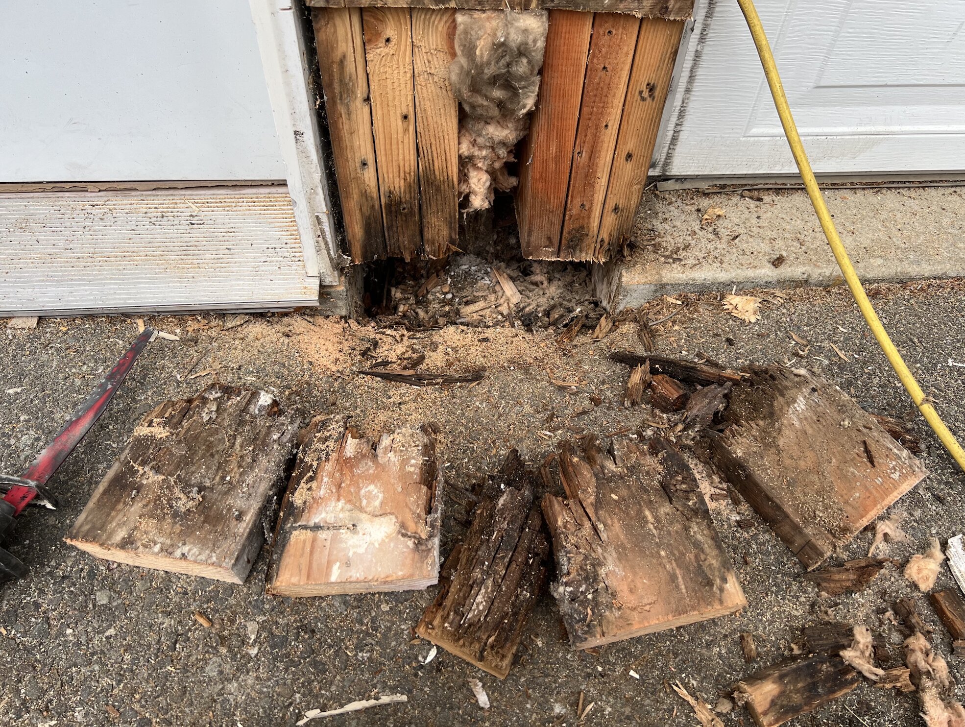 Wood Rot Repair
